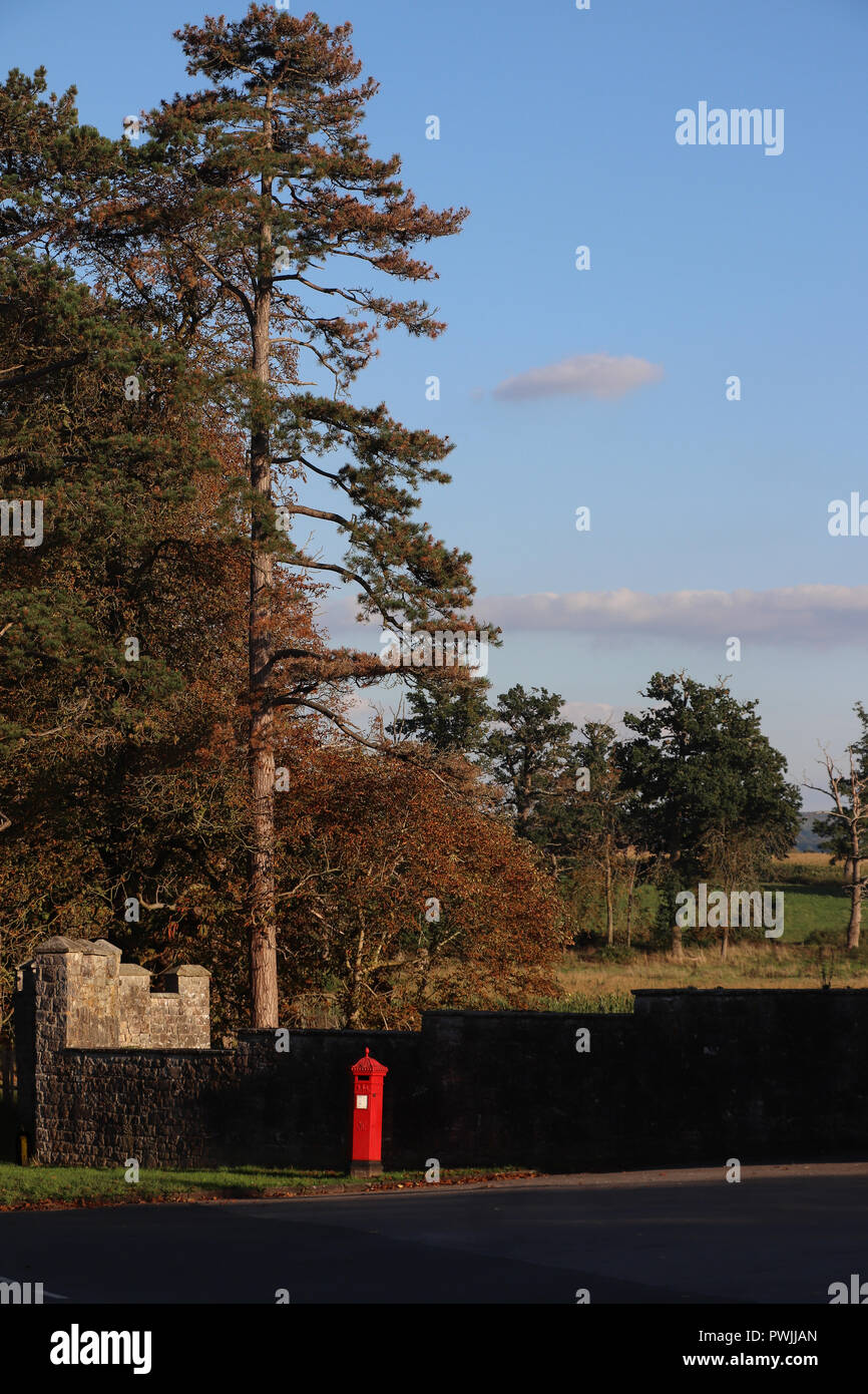 Le soleil brille sur un rouge lumineux British Post box debout devant un mur de pierre sombre, avec des champs plantés et campagne anglaise en arrière-plan. Banque D'Images