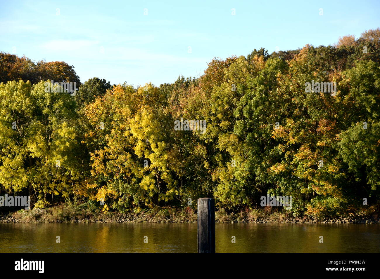 Herbst Wasser Fuss Bäume Sonne Banque D'Images