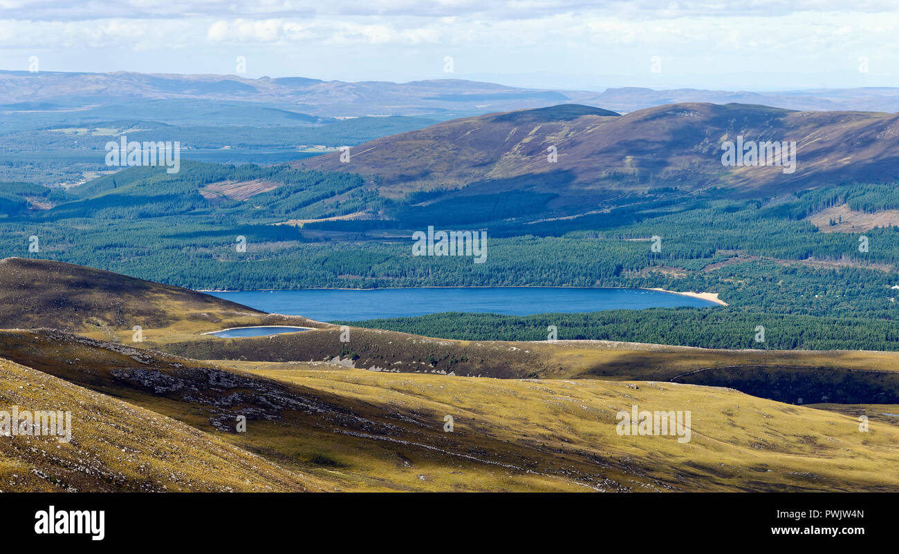 Vue sur sentier Sugar Bowl à Loch Morlich & Rothiemurchus Forest, Ecosse, Cairngorms Banque D'Images