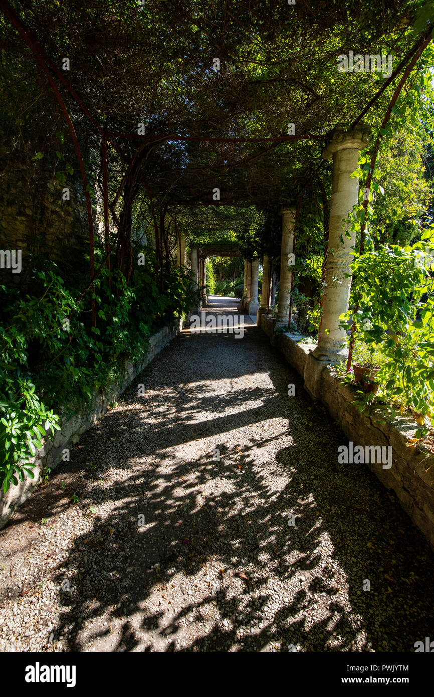 Abbaye de Saint André - Le Jardin de l'IOF, parmi les plus beaux jardins en France, l'abbaye de Saint André les jardins sont composés de roses, d'oliviers et de pins t Banque D'Images