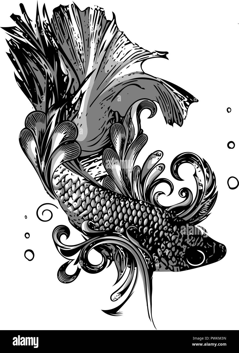 Betta poisson combat siamois d'or Betta Splendens, Pla-kad thaï. Betta poisson Illustration de Vecteur