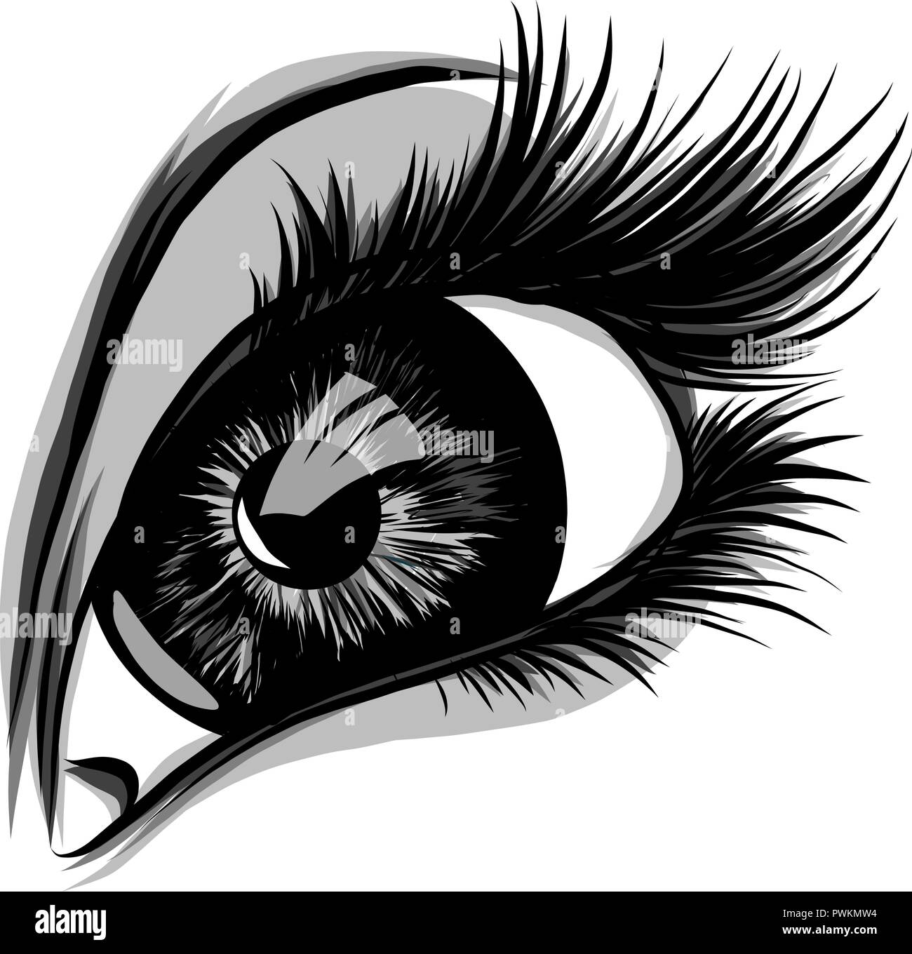 Œil sur fond blanc. Woman eye. Le logo de l'œil. Yeux visage humain art. Illustration de Vecteur