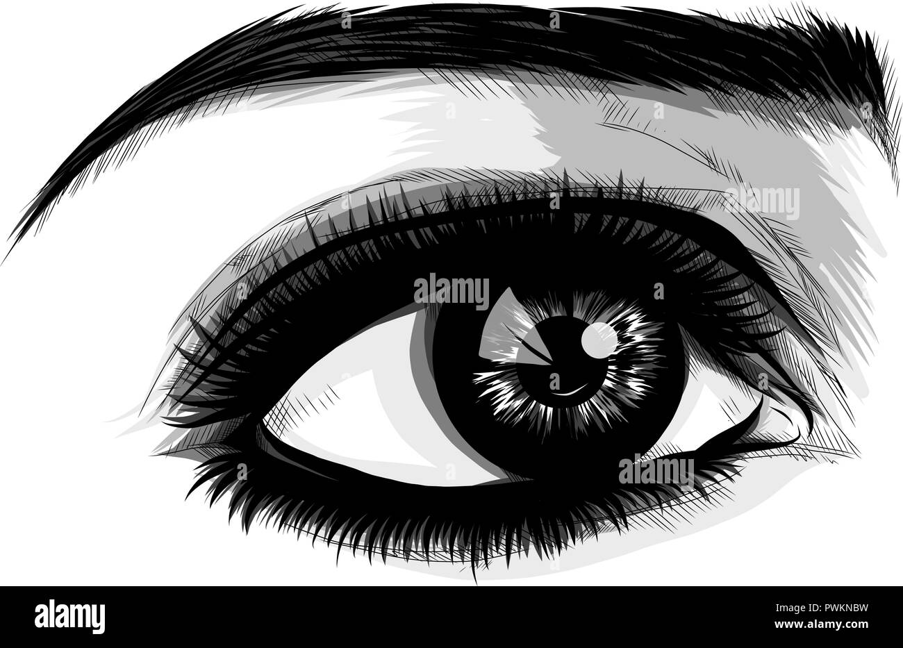 Œil sur fond blanc. Woman eye. Le logo de l'œil. Yeux visage humain art. Illustration de Vecteur