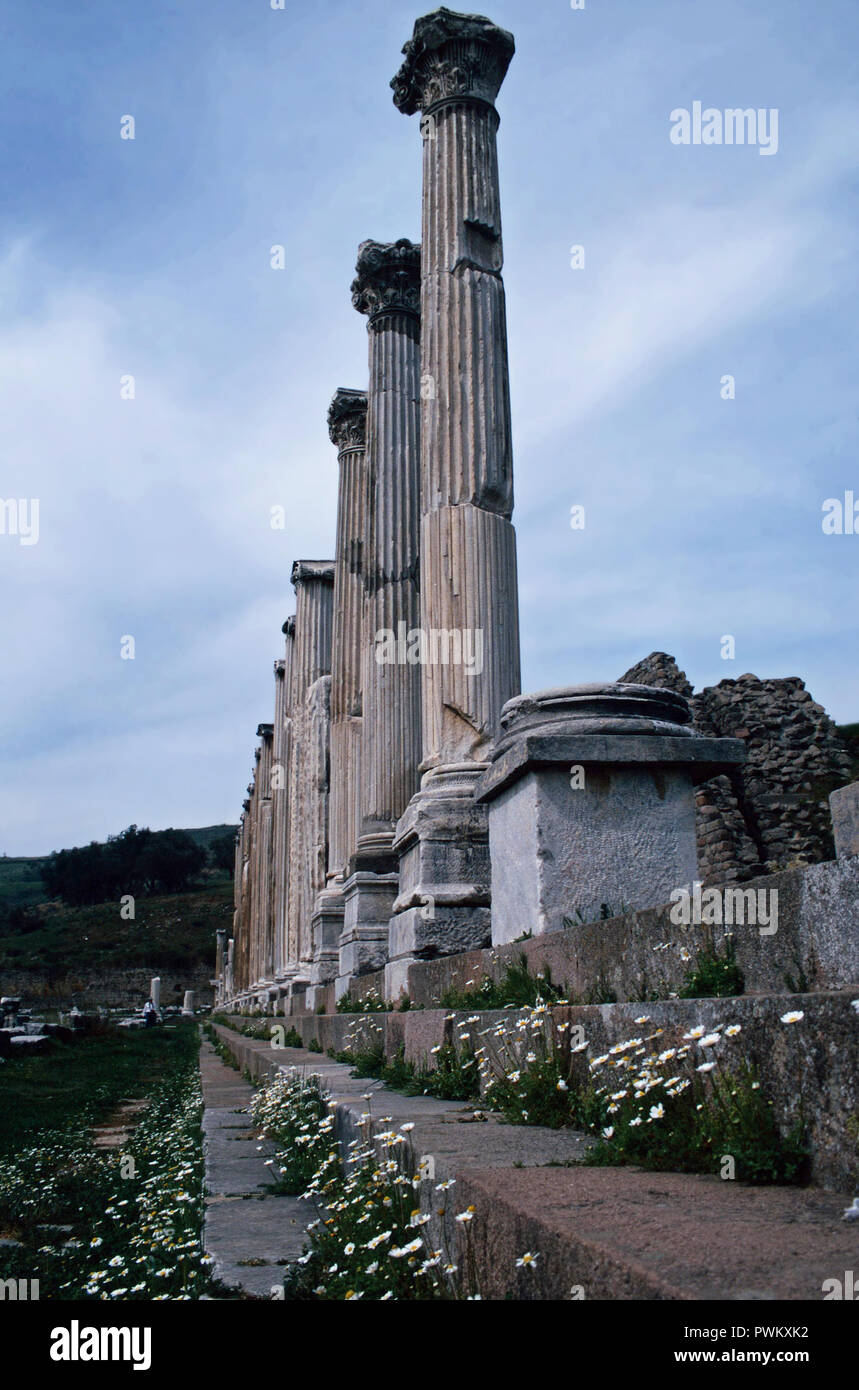 Les colonnes de la galerie nord, Pergame,Turquie Banque D'Images