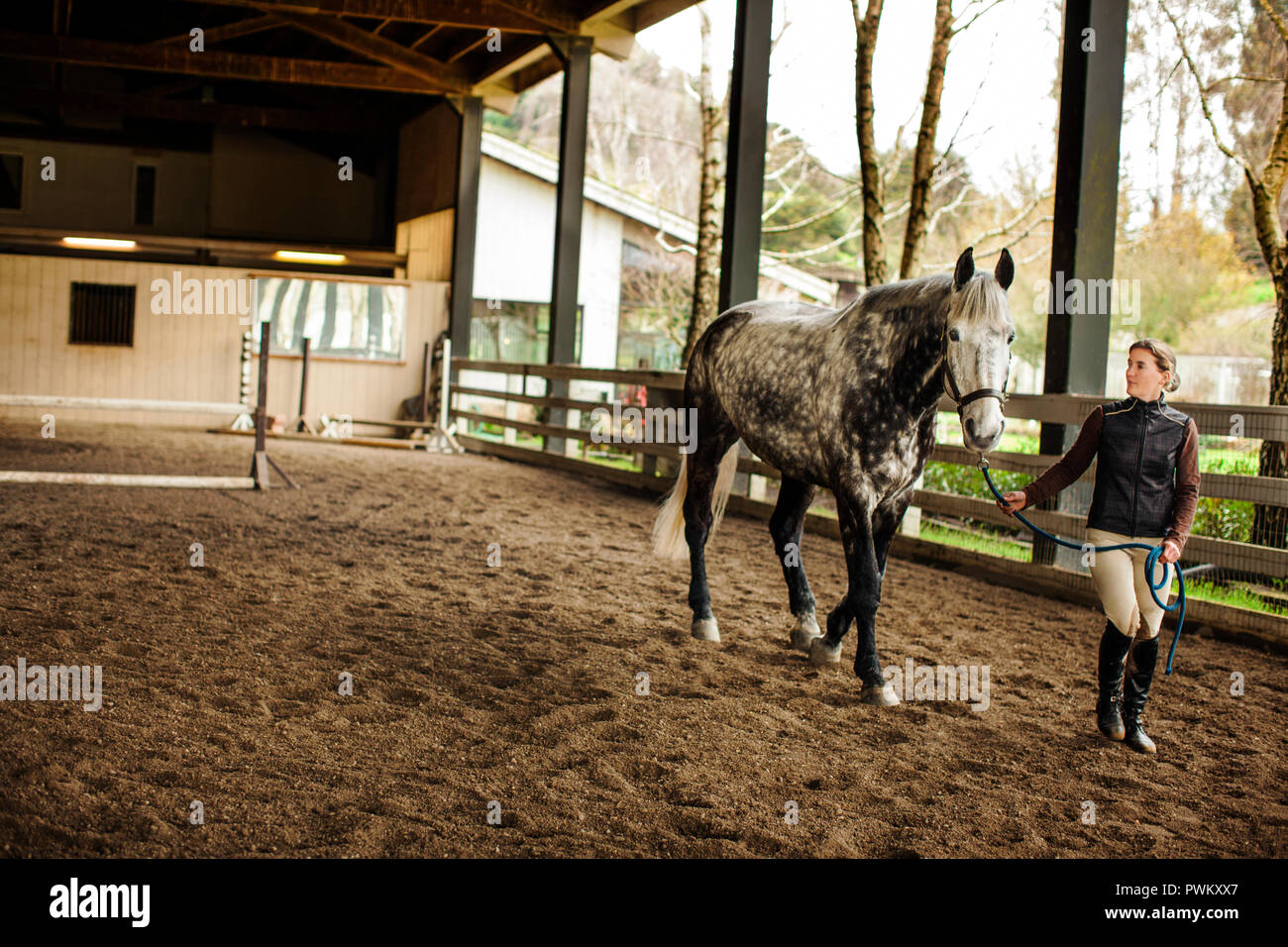 La formation a son cheval dans une cour d'exercice. Banque D'Images
