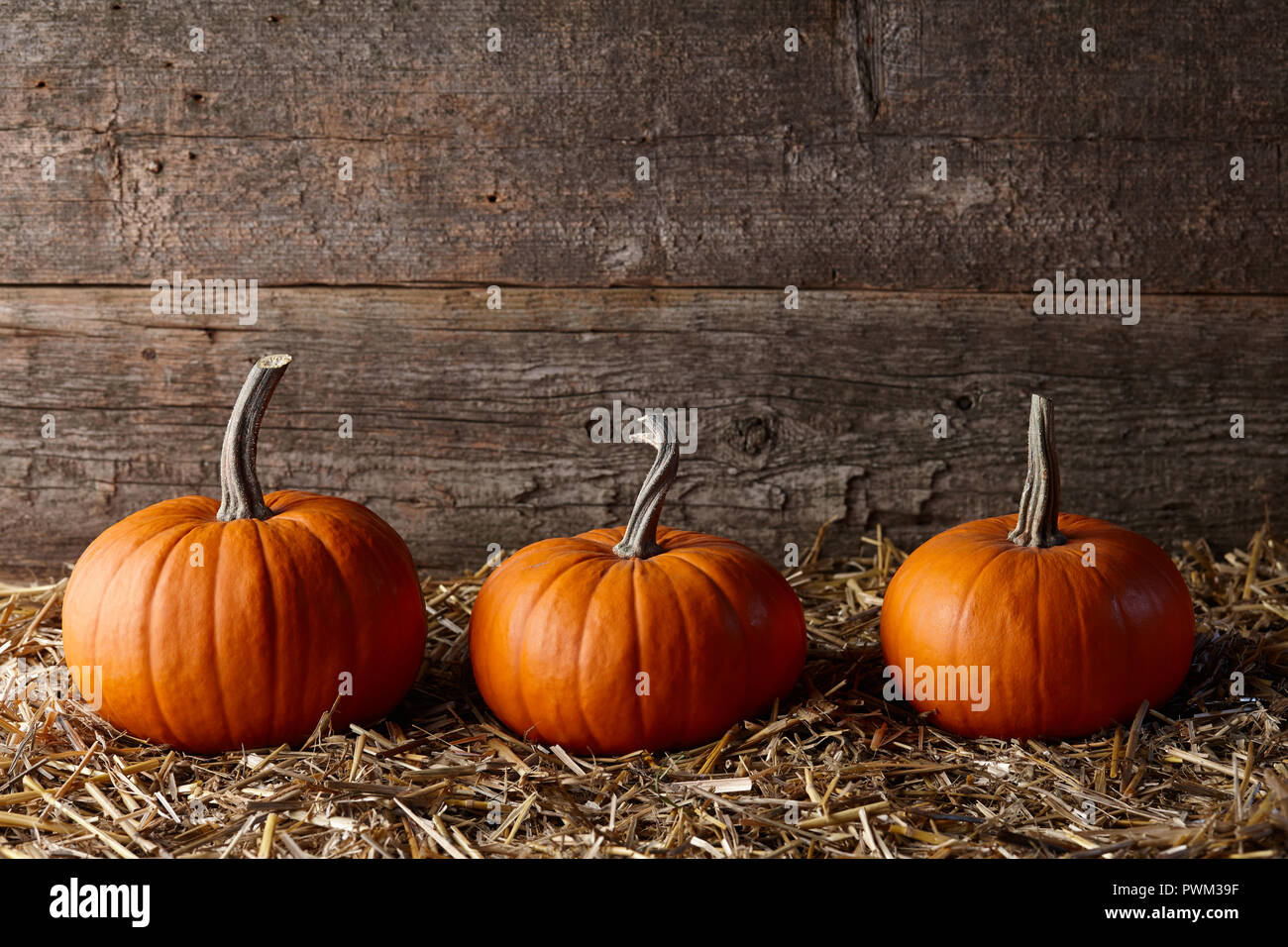 Citrouilles d'Halloween orange foncé dans ancienne grange, de l'espace à l'envoi de sms Banque D'Images
