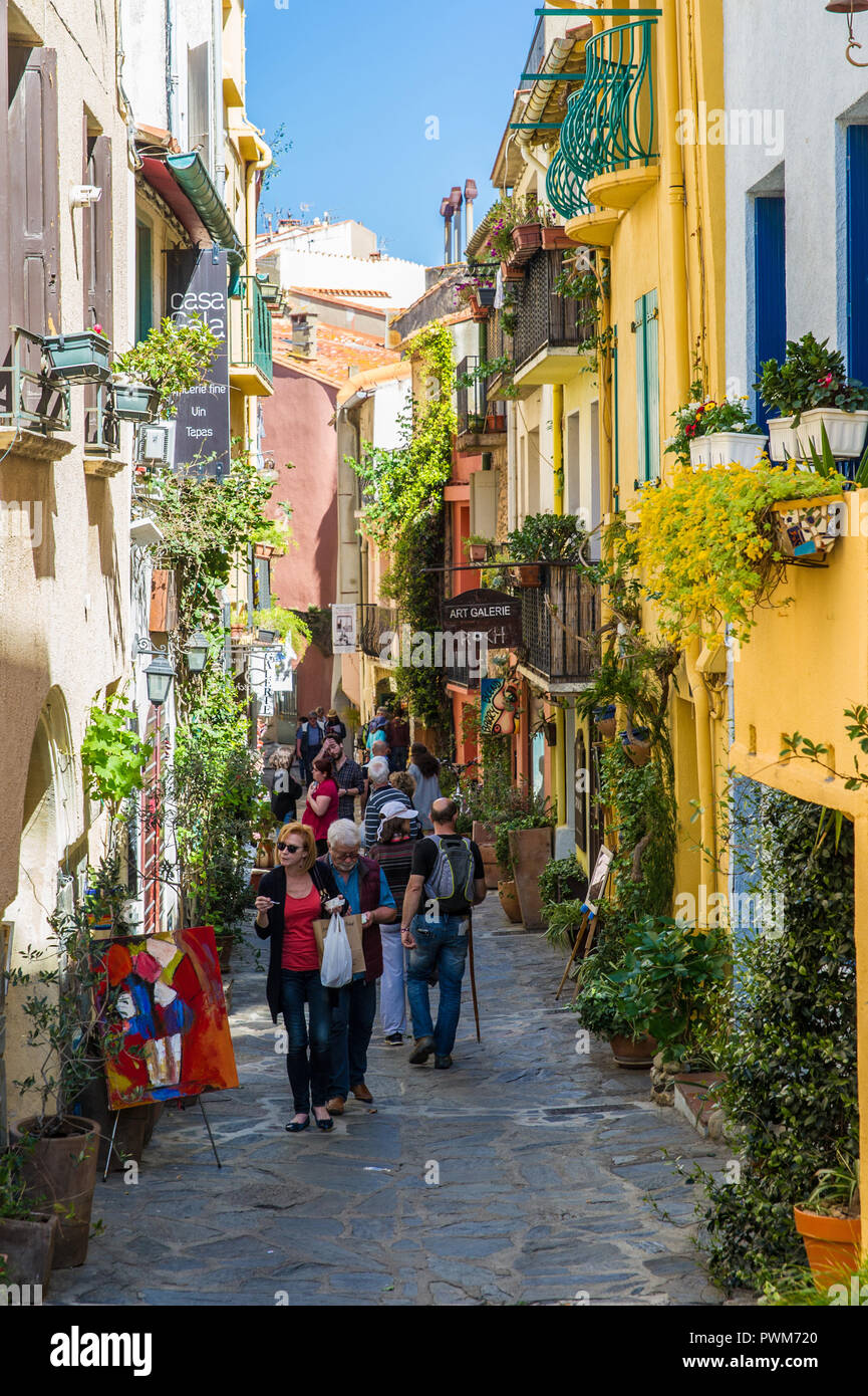 Collioure (sud de la France) : lane bordées de façades colorées de la vieille ville Banque D'Images