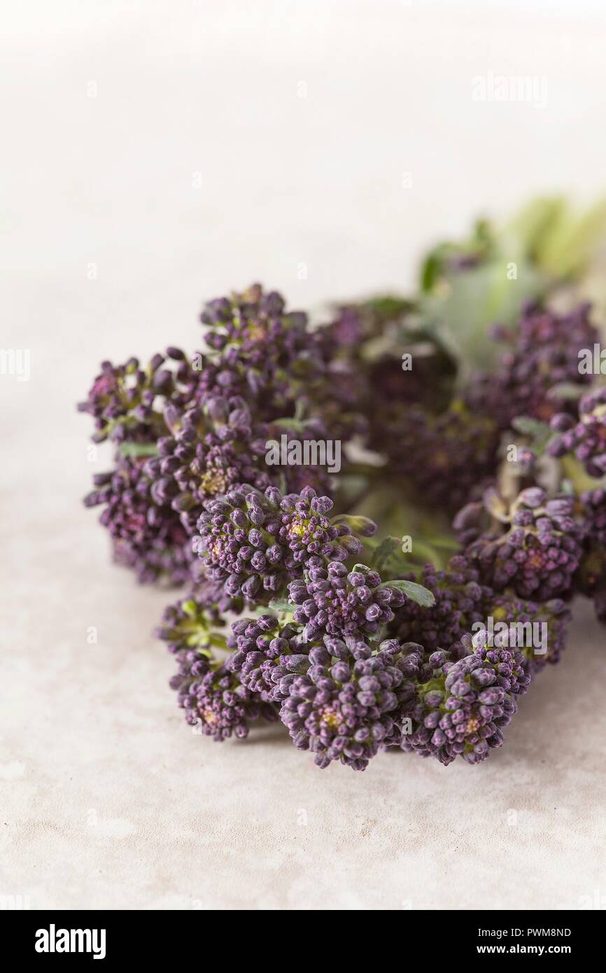 Close up detail d'un fleuron de Purple Sprouting brocoli Banque D'Images