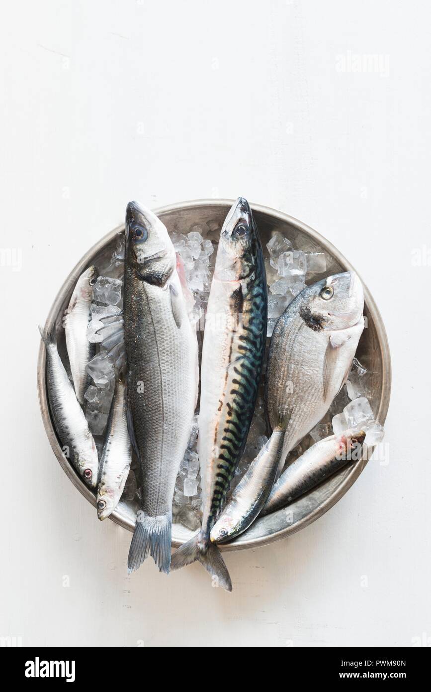 Un bol de poissons frais sur la glace - le maquereau, le bar, la dorade et whitebait Banque D'Images