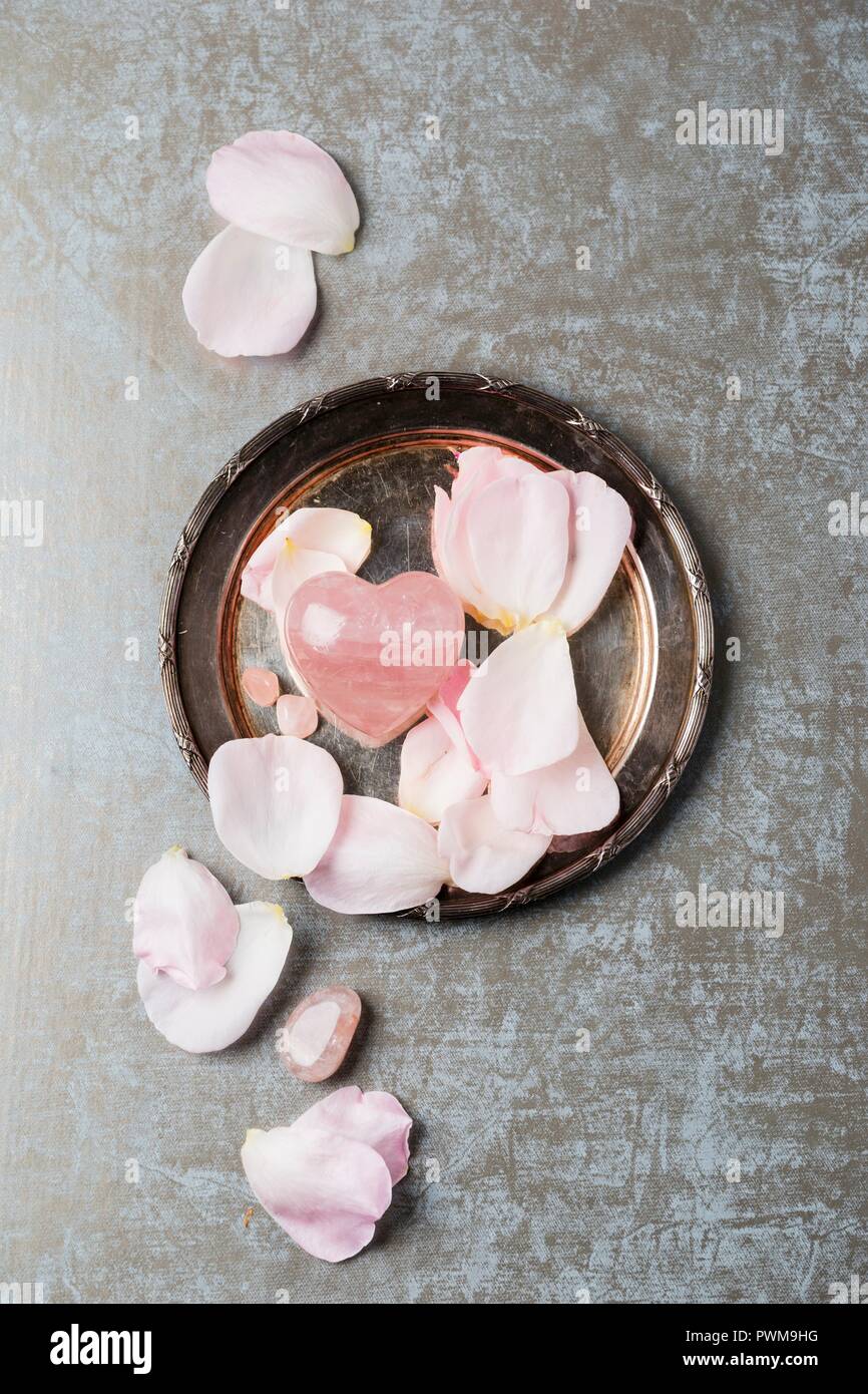 Le quartz rose avec des pétales de rose sur une plaque d'argent Banque D'Images