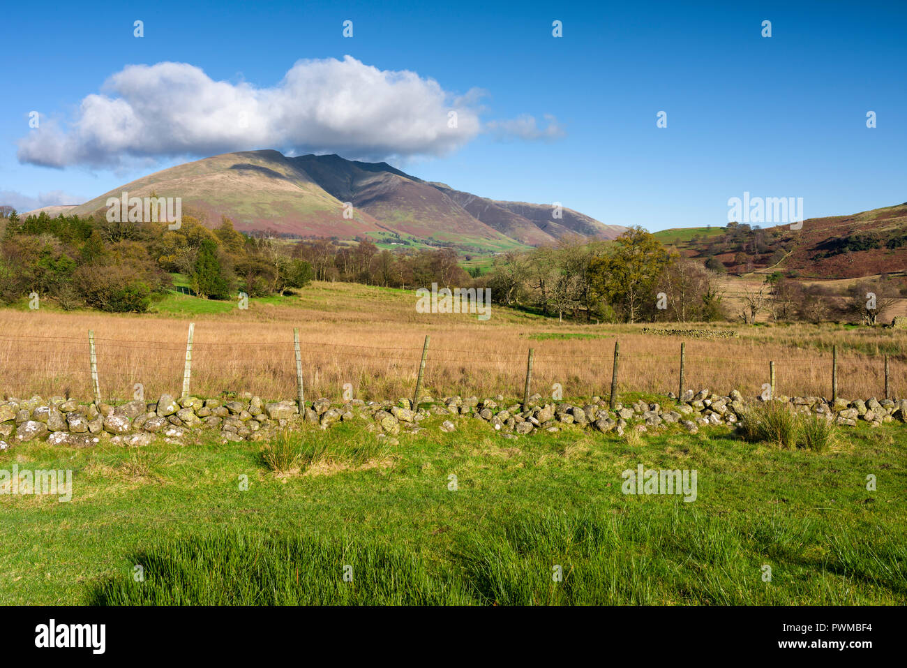 Blencathra est tombé de Dale bas dans le Parc National de Lake District, Cumbria, Angleterre. Banque D'Images