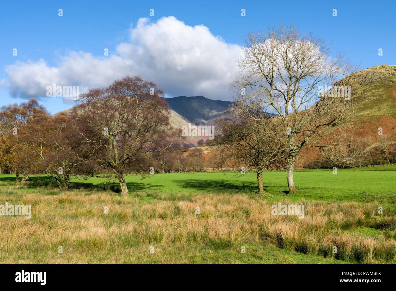 Blencathra est tombé de Dale bas dans le Parc National de Lake District, Cumbria, Angleterre. Banque D'Images