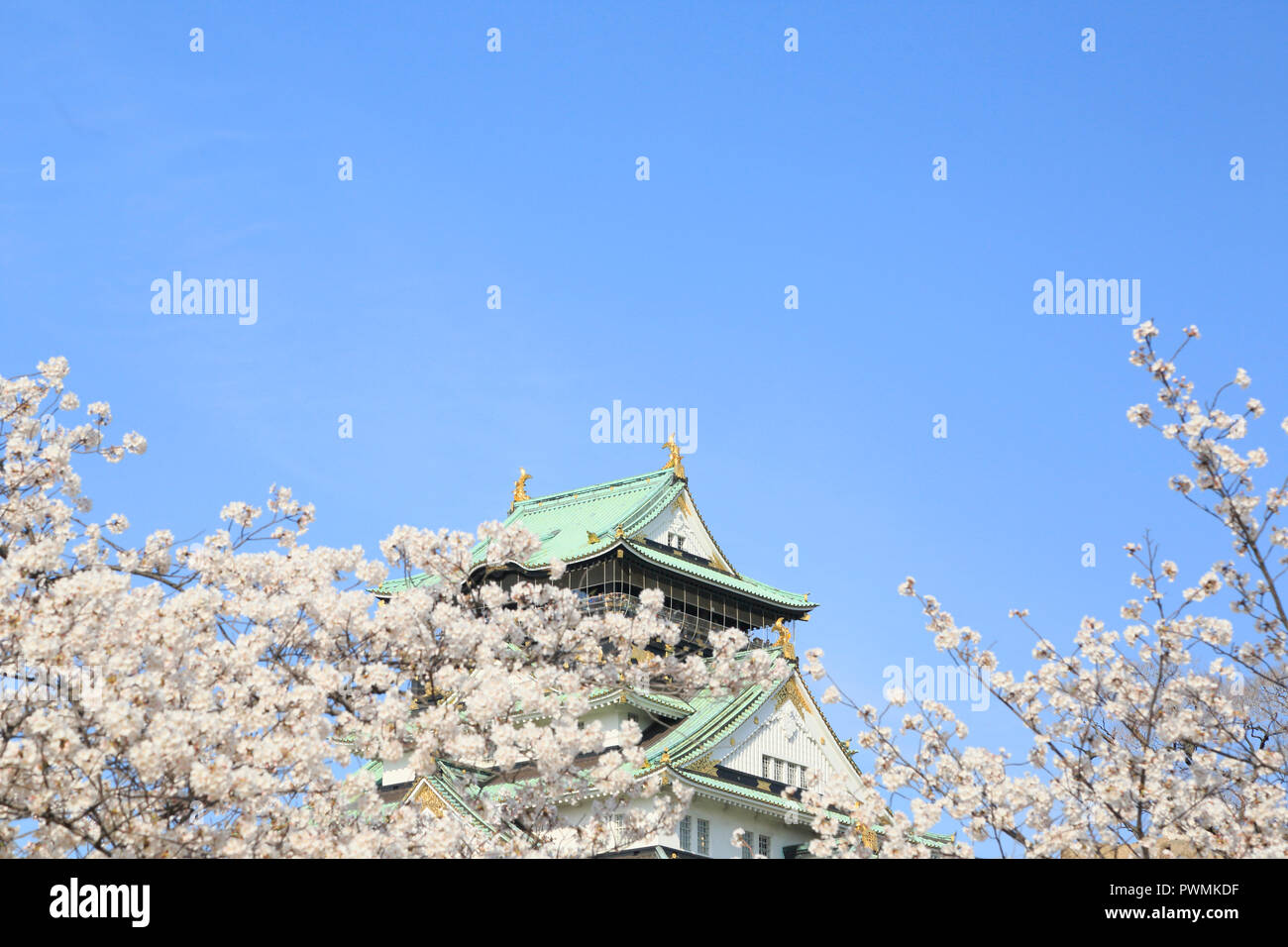 Le Château d'Osaka et fleurs de cerisier Banque D'Images