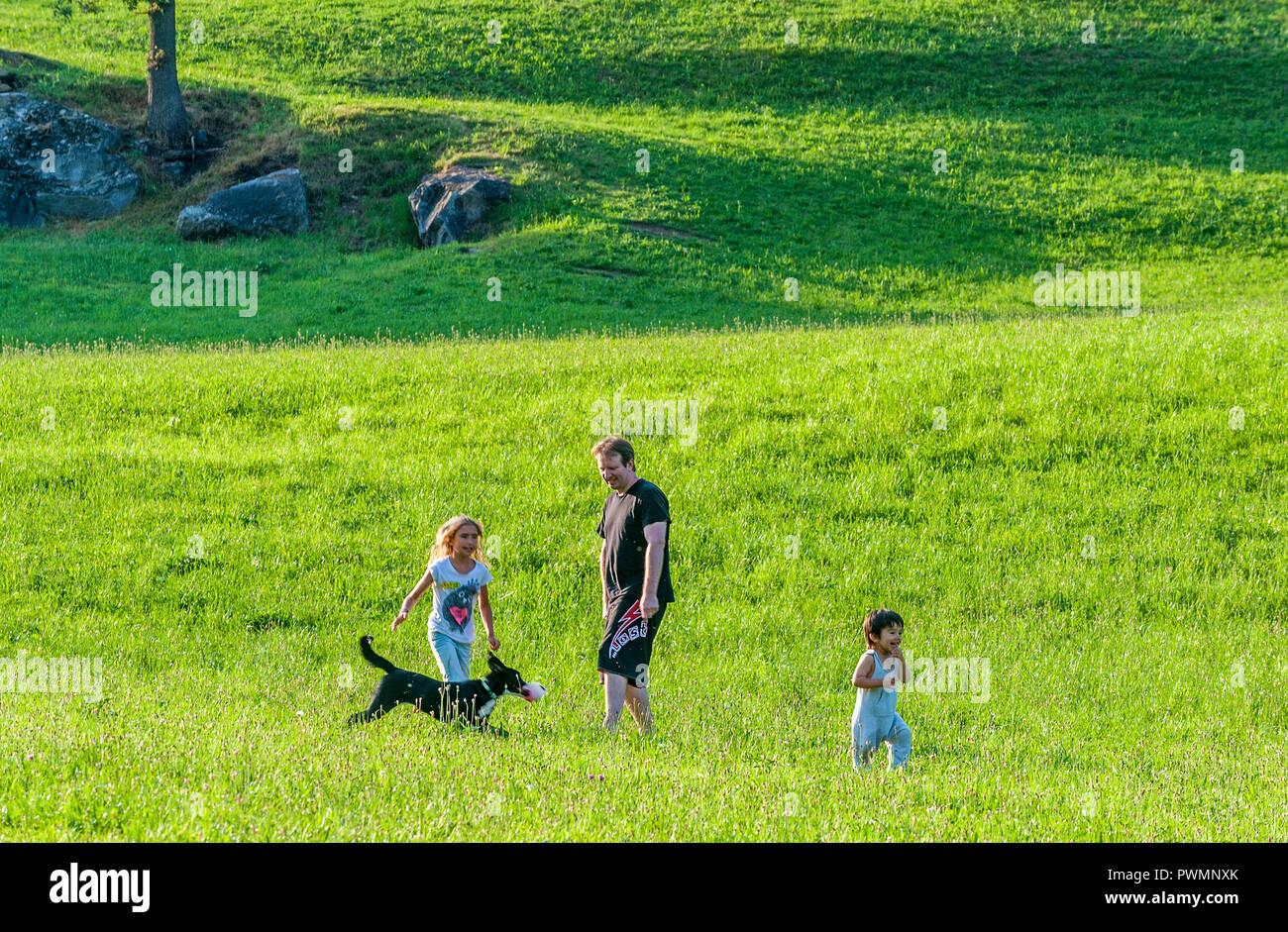 La France, l'Occitanie, Parc National des Pyrénées, Val d'Azun, à la famille et chien Border Collie Banque D'Images