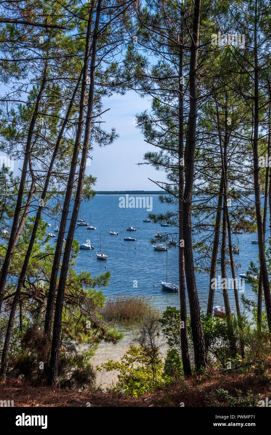 Medoc, Gironde, France bleu, Carcans Maubuisson dans le lac Photo Stock -  Alamy
