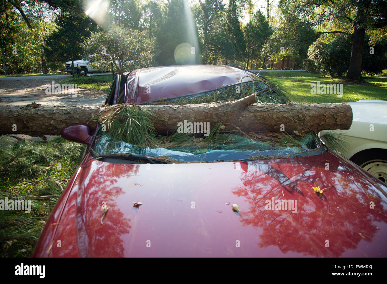 Un membre de l'arbre écrasé une voiture à une maison à la suite de l'ouragan Florence le 19 septembre 2018 à New Bern, Caroline du Nord. Banque D'Images