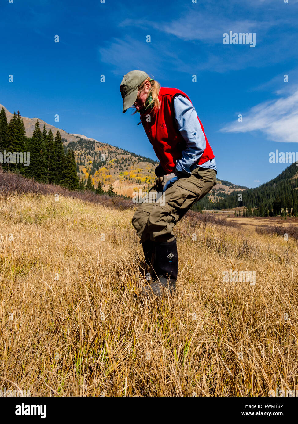 Restauration à Chattanooga Fen Fen, près de Silverton, Colorado Banque D'Images