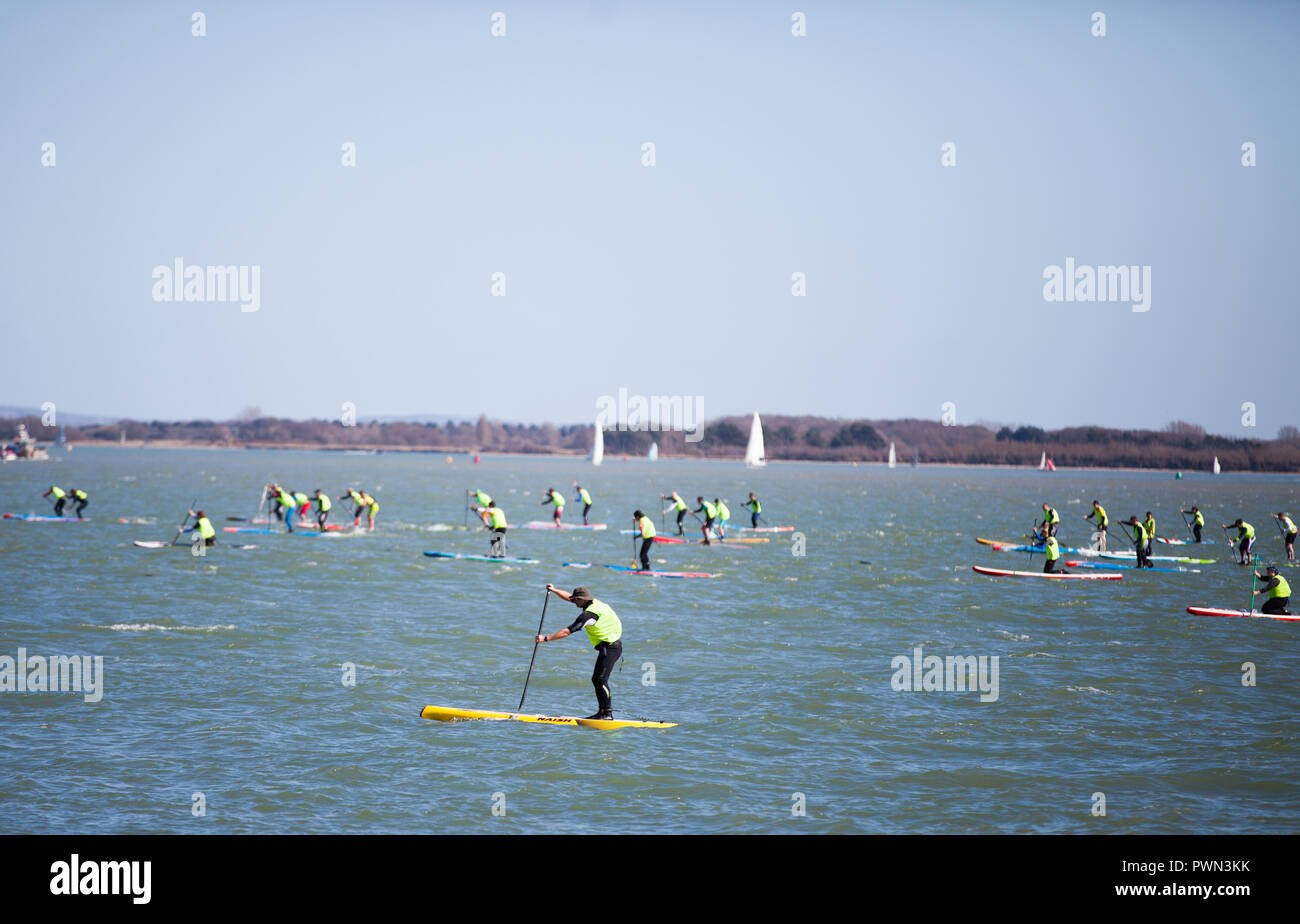 Paddle board race Banque D'Images