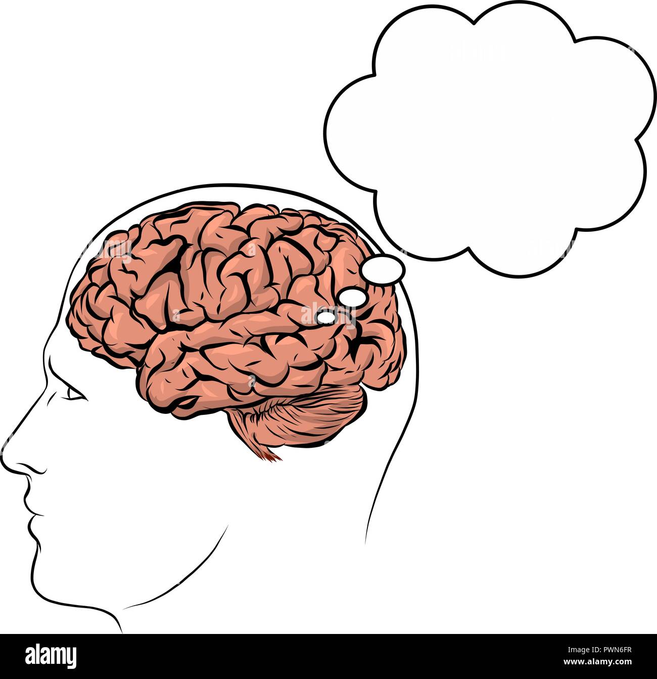 Visage humain vecteur silhouette marron avec l'intérieur du cerveau Illustration de Vecteur