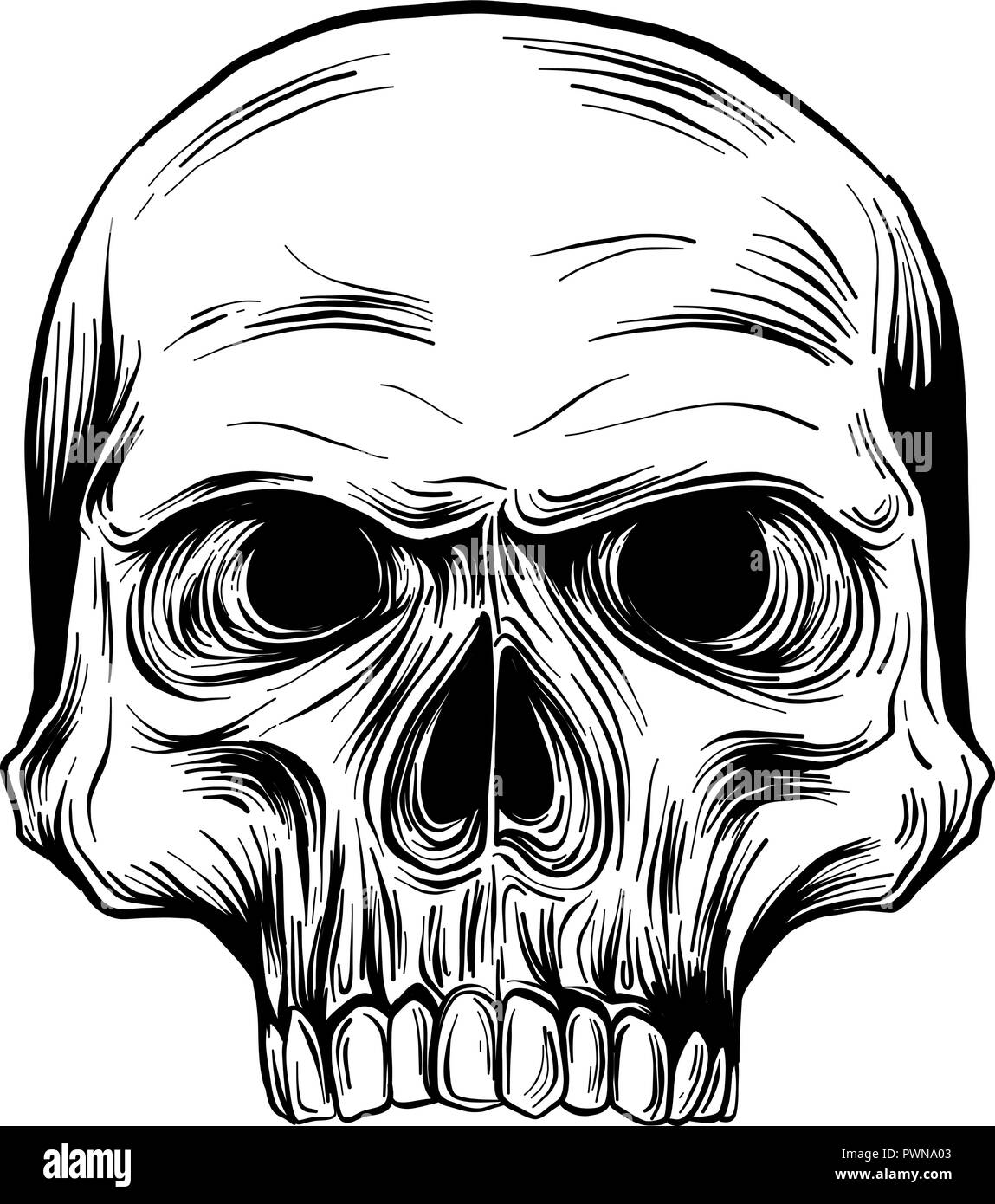 Vector illustration noir et blanc de crâne humain avec une mâchoire inférieure à l'encre à la main style. Illustration de Vecteur
