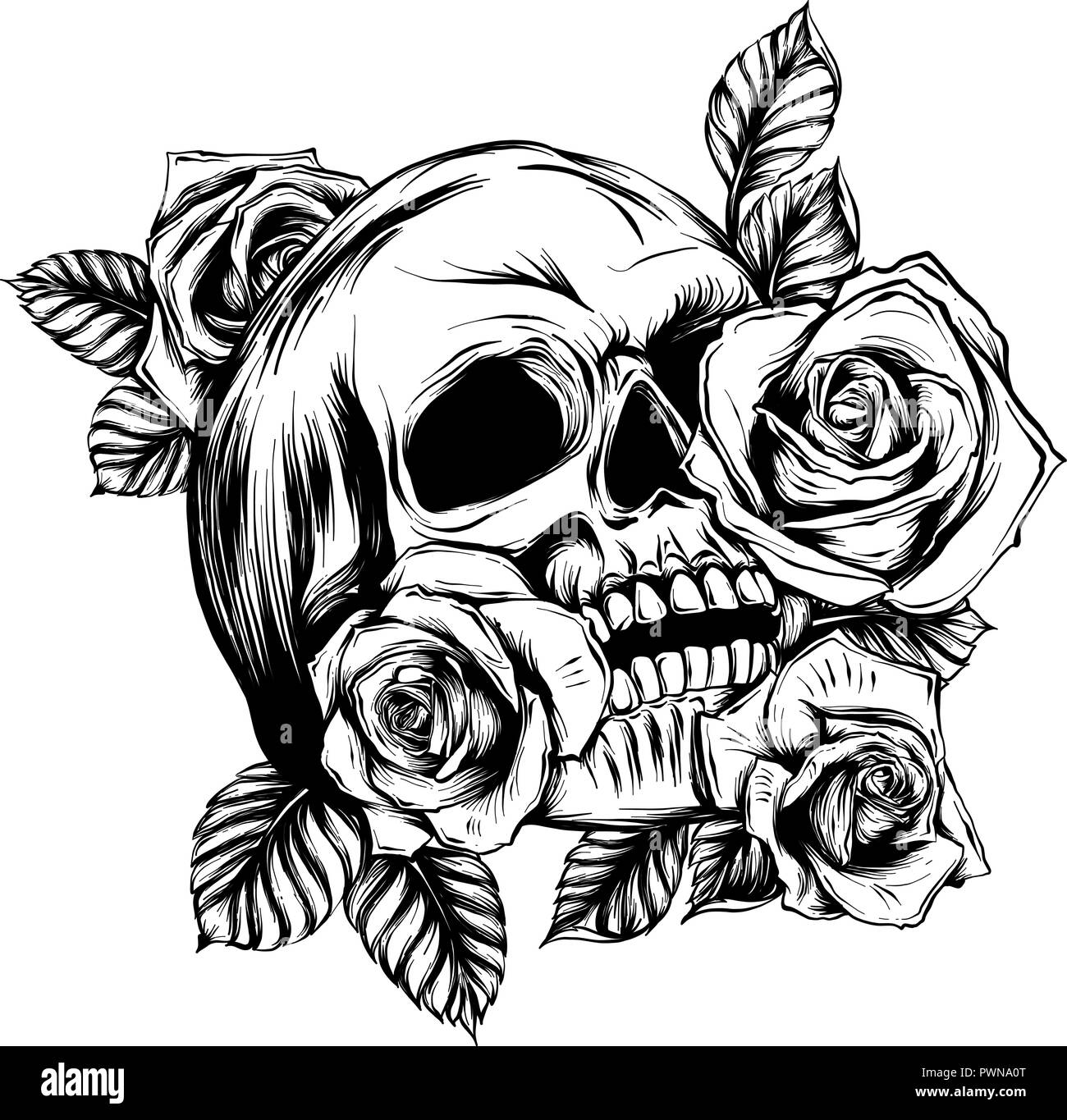 Un des crânes humains avec des roses sur fond blanc Illustration de Vecteur