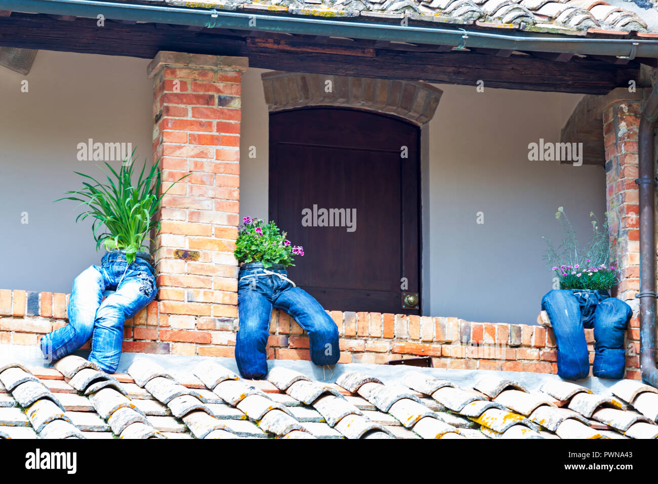 Upcycling vieux jeans assis sur le mur utilisé pour cultiver des fleurs à  la Toscane, Italie en mai Photo Stock - Alamy