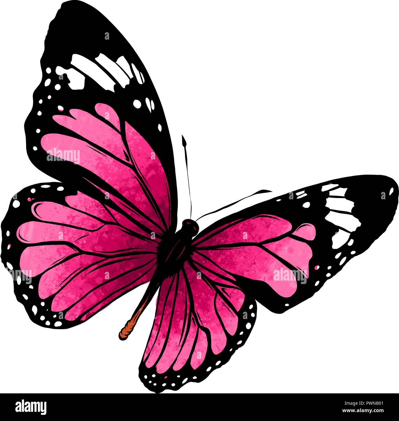 Illustration d'un magnifique papillon coloré qui vole Illustration de Vecteur