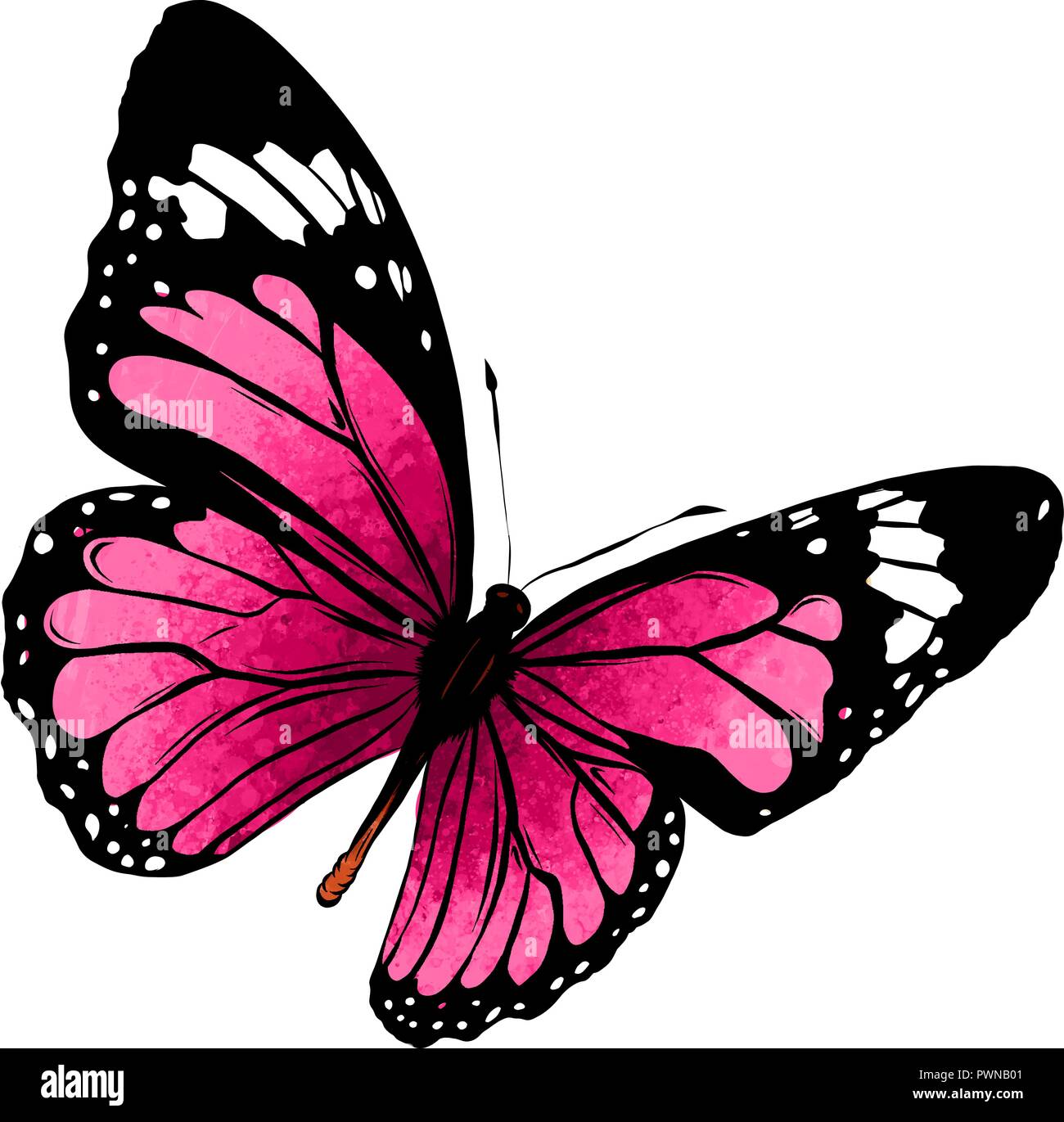 Illustration D Un Magnifique Papillon Colore Qui Vole Image Vectorielle Stock Alamy