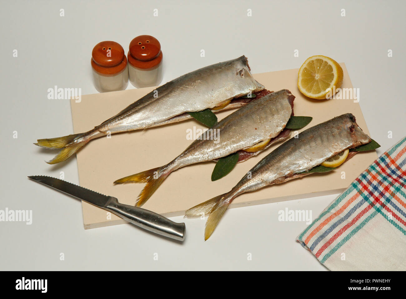 Mackerels de cheval non cuits Banque D'Images