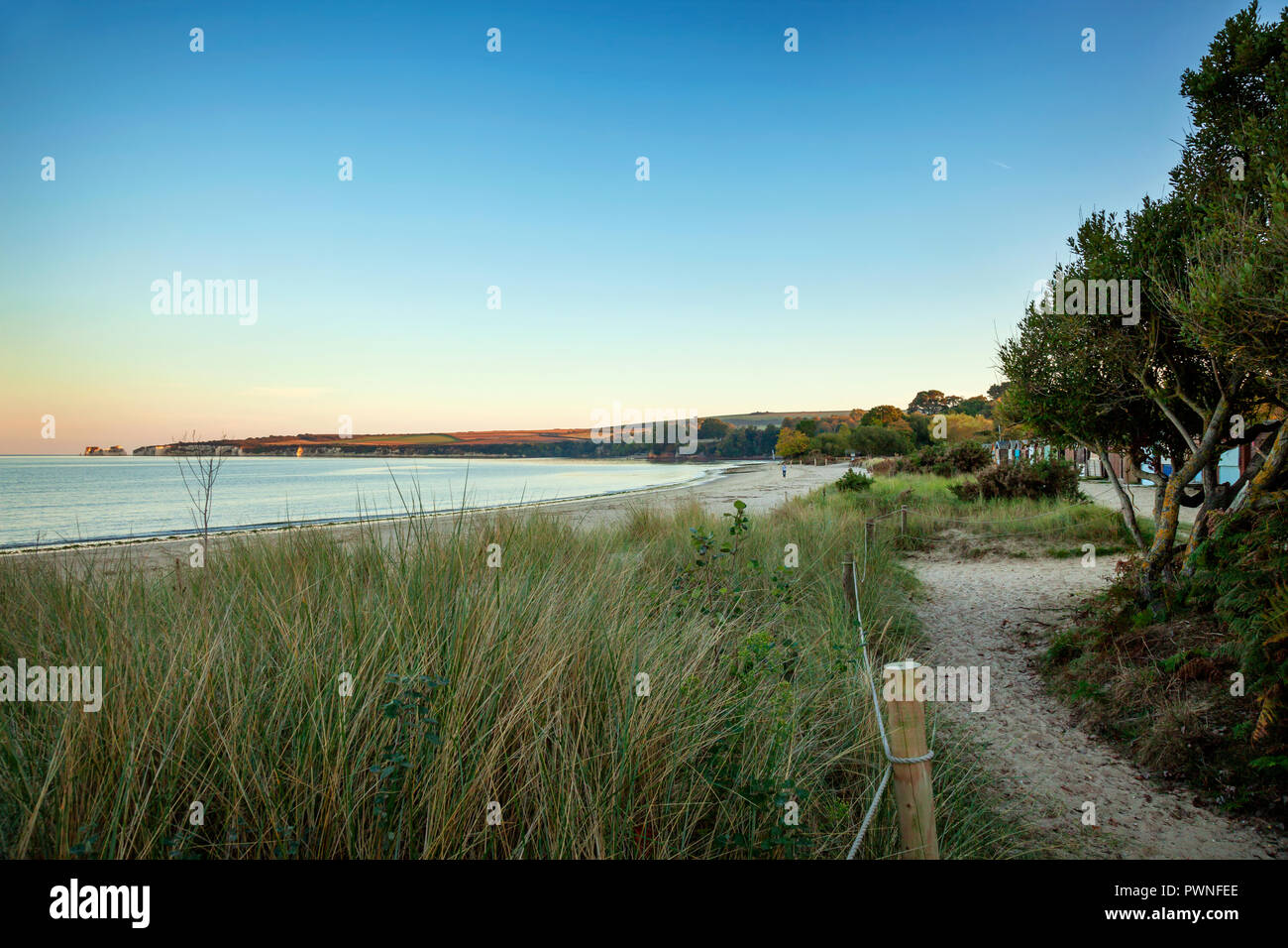 Vue sur la plage et Old Harry Rocks à South Beach, Studland, Dorset. Prises au crépuscule Banque D'Images