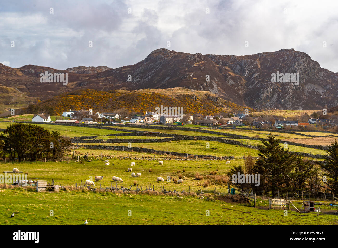 Scourie avec les champs au premier plan et les montagnes en arrière-plan, Sutherland, Scotland, UK Banque D'Images