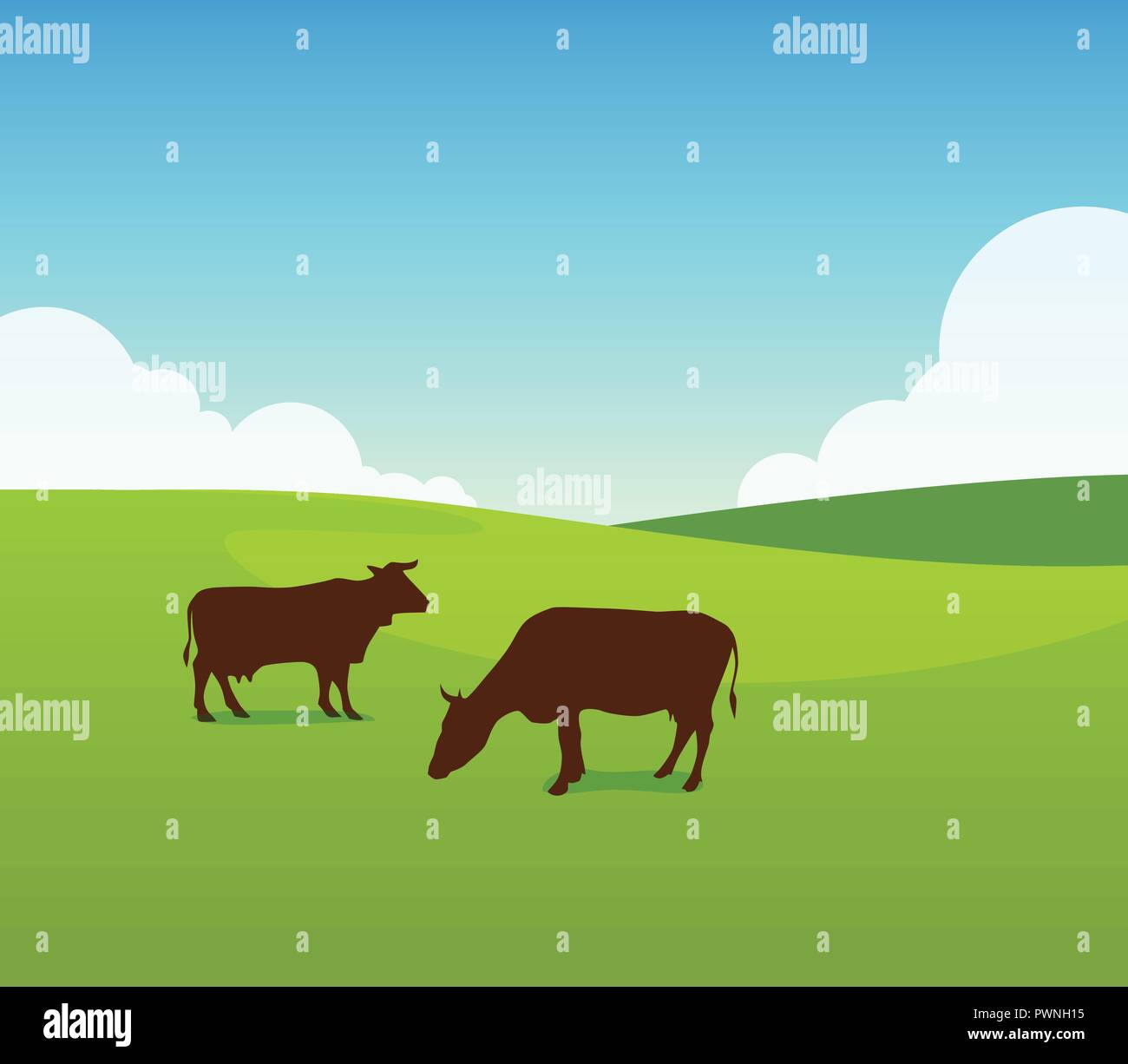 Les vaches sur champ vert Pâturage. Vector Illustration Paysage de journée ensoleillée sur Farm Illustration de Vecteur