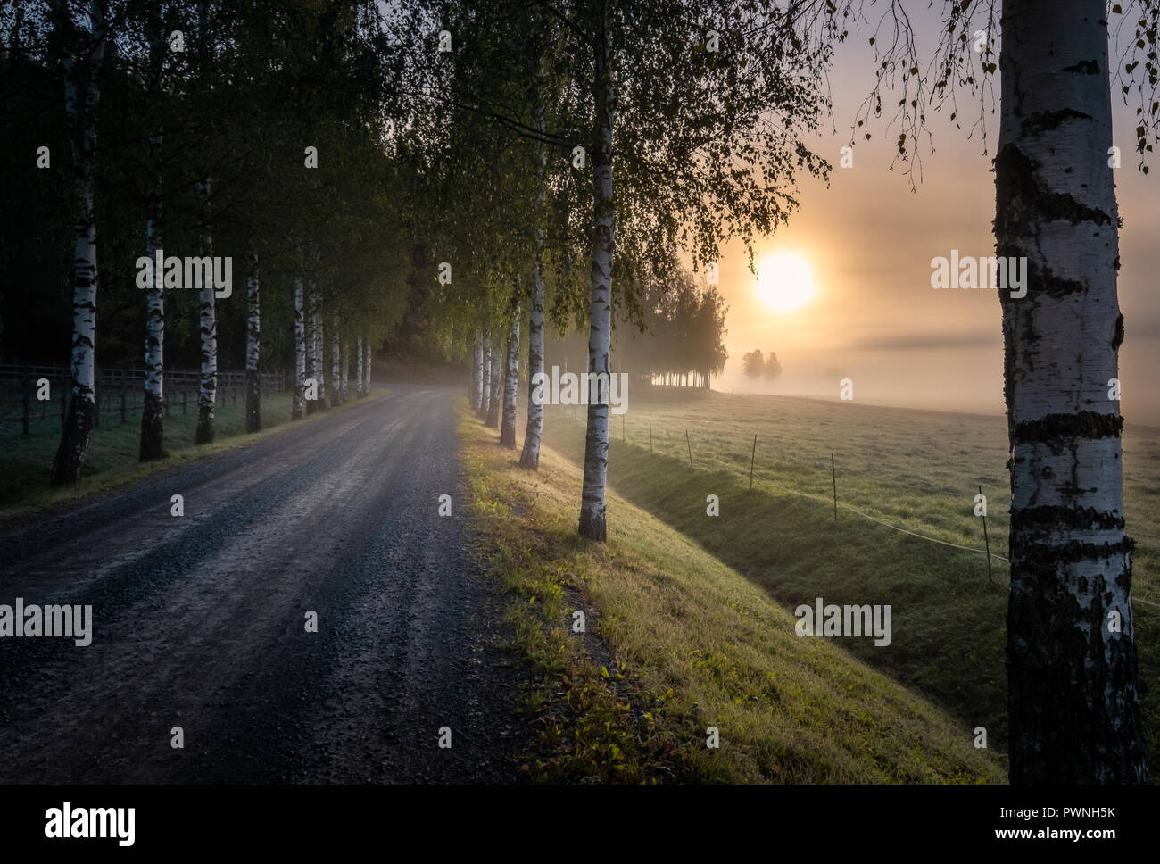 Lever du soleil idyllique paysage avec road et le brouillard au beau matin d'automne en Finlande Banque D'Images