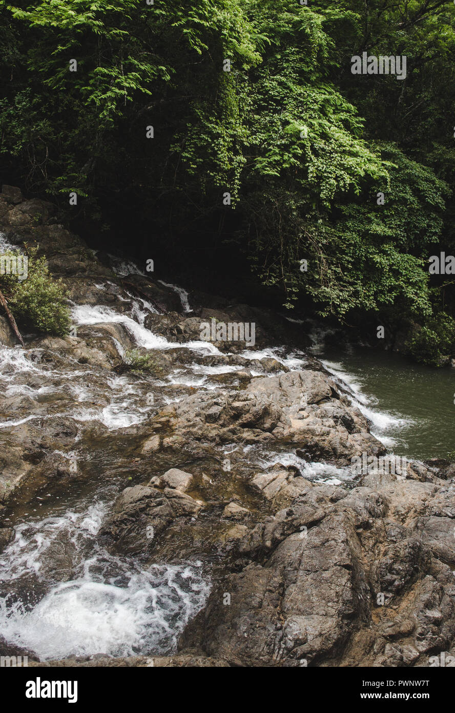 Flux rocheux se transforme en cascade qui alimente une piscine naturelle verte dans la forêt de Montezuma, Costa Rica Côte Ouest Banque D'Images