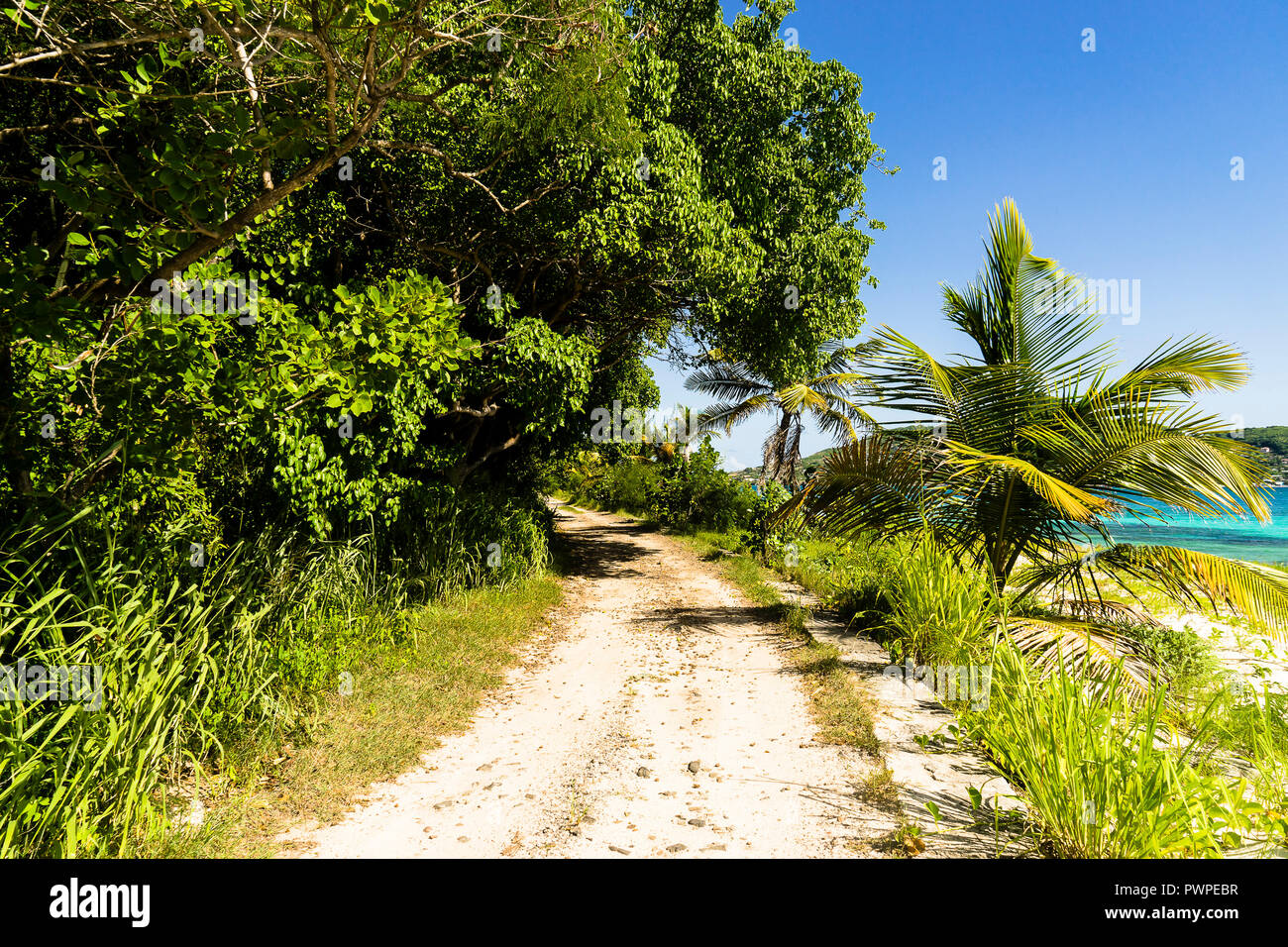 Sentier à Petit-St-Vincent island, Saint Vincent et les Grenadines, Petites Antilles, Antilles, îles du Vent, des Caraïbes, d'Amérique centrale Banque D'Images