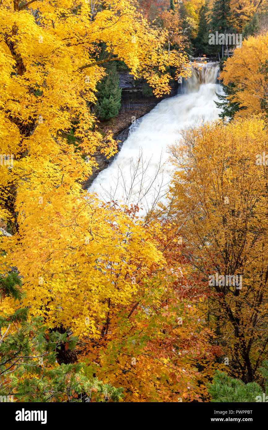 Les couleurs vives de l'automne, rire surround Whitefish Falls dans la Péninsule Supérieure du Michigan, près de Munising. Banque D'Images