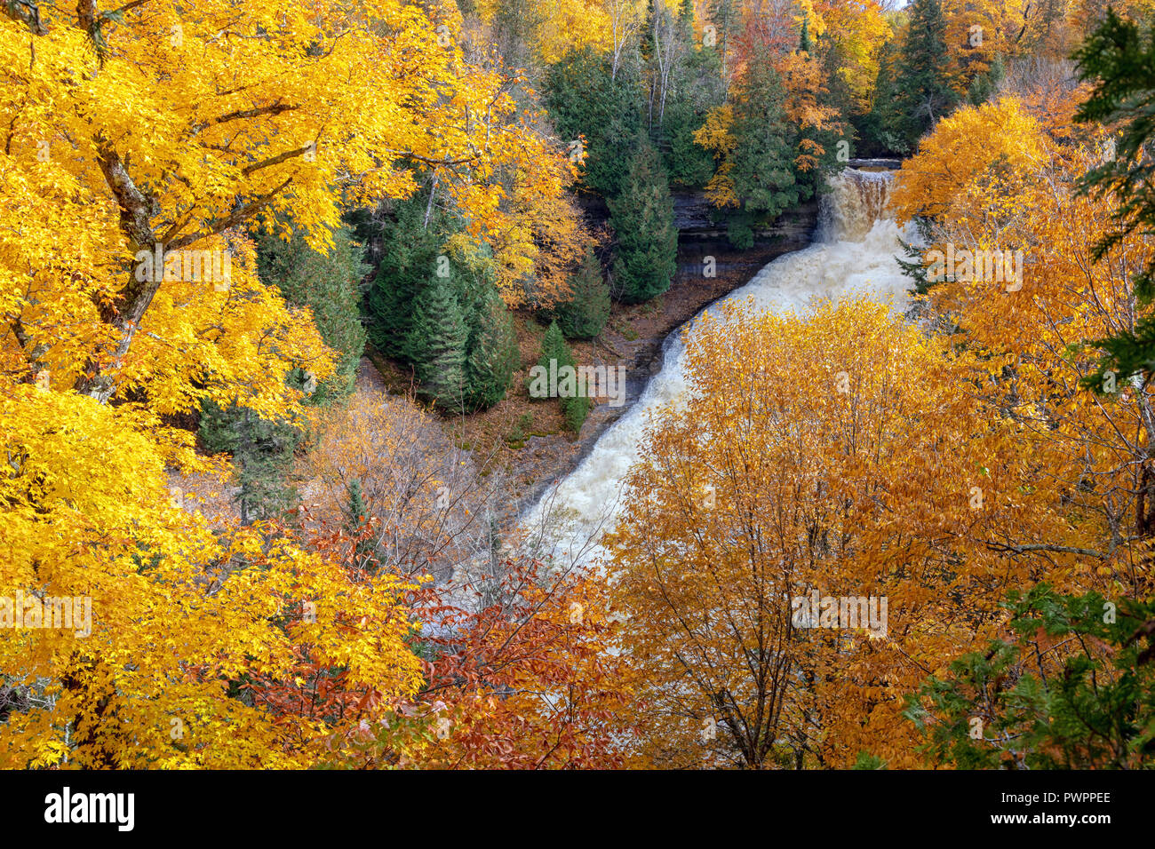 Rire Whitefish Falls est entouré de feuillage de l'automne flamboyant, près de Munising au Michigan Banque D'Images