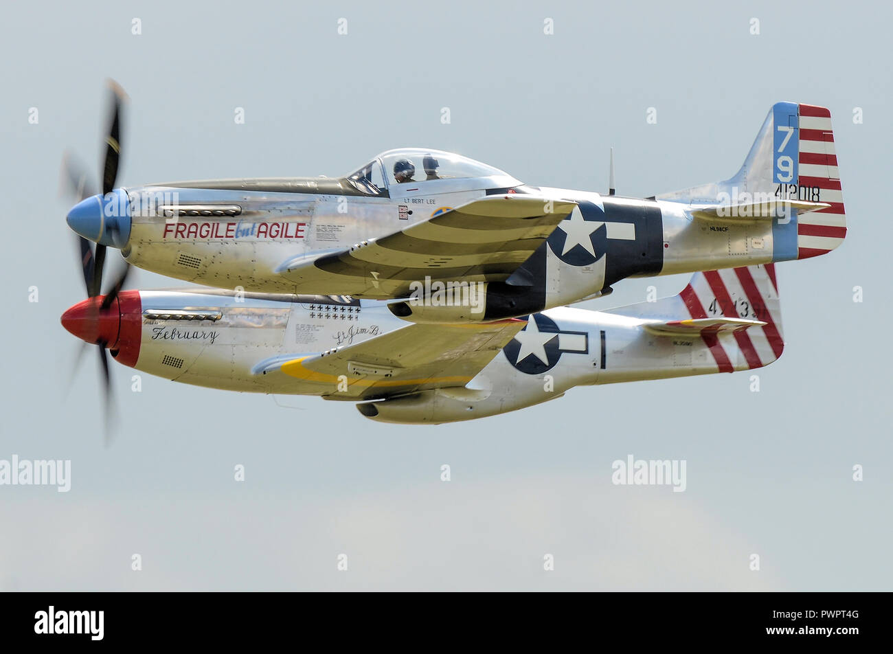 North American P-51 Mustang avions volant à un meeting aérien. Paire de P-51 Mustang nommé fragile mais agile et Février. Avion. Airplane Banque D'Images