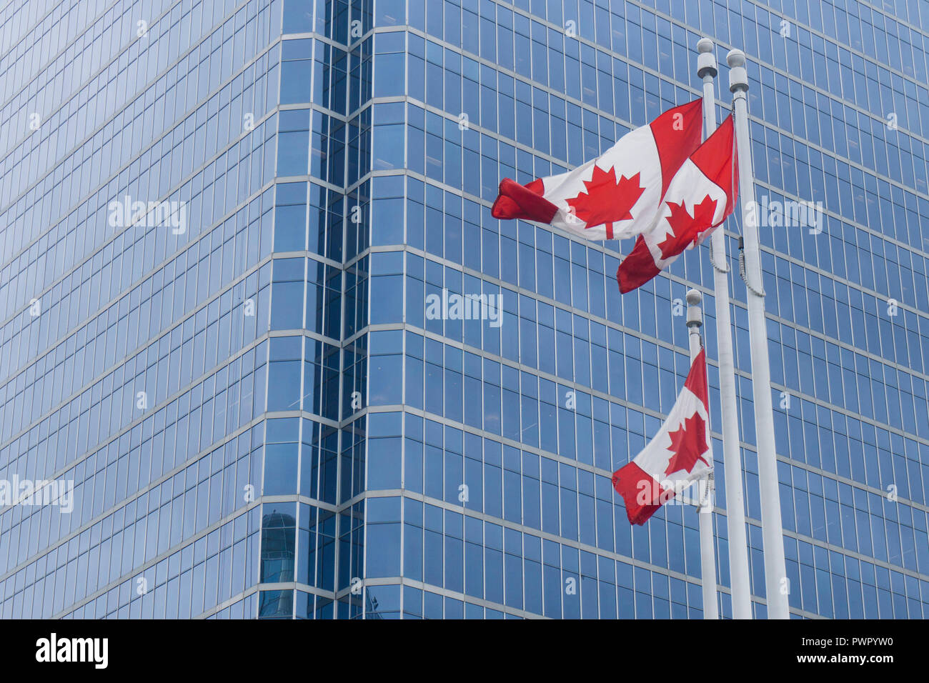 Drapeau canadien en face de l'édifice moderne en verre à Vancouver Banque D'Images