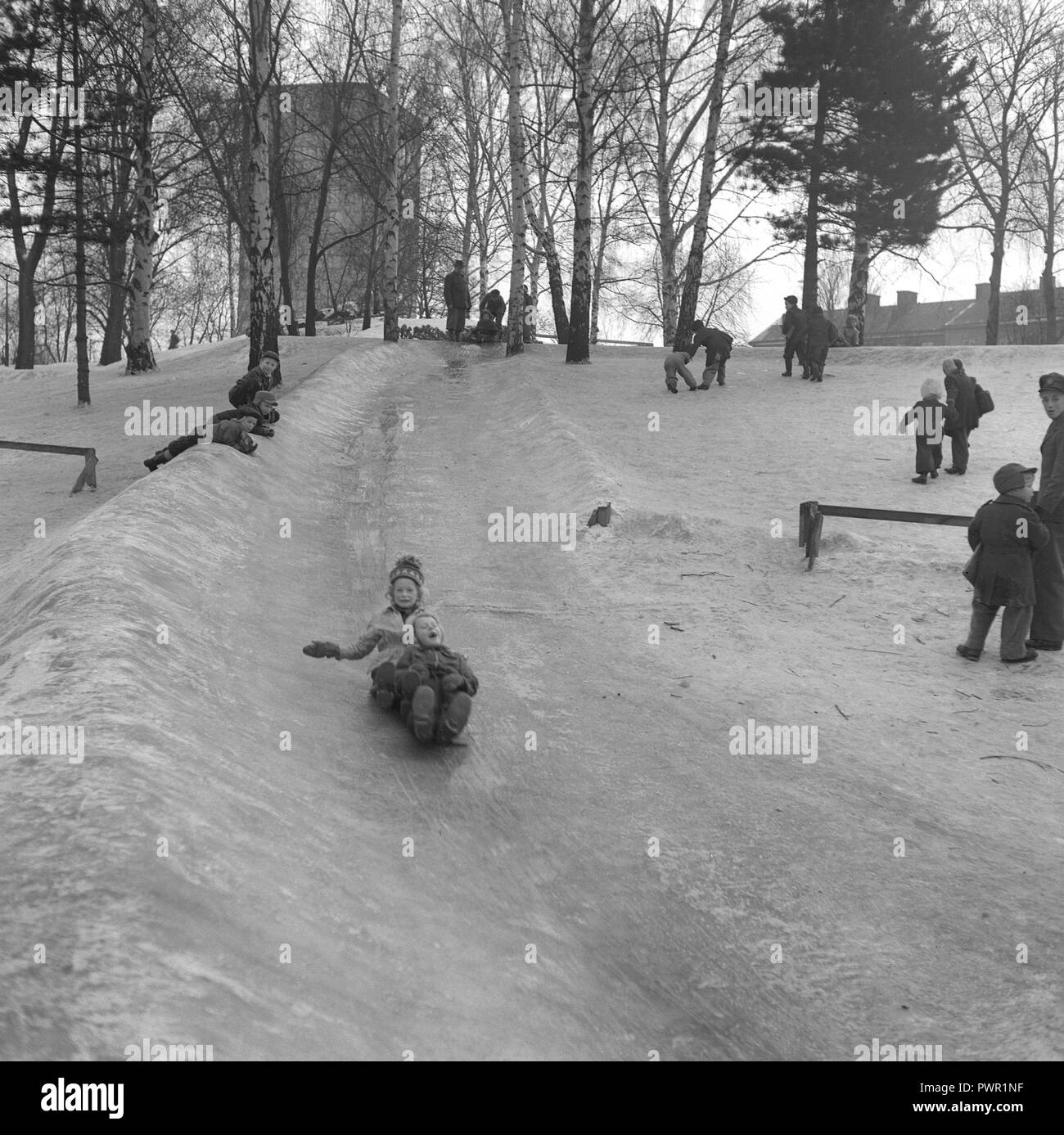 L'hiver dans les années 1950. Des enfants jouent dans un parc à Stockholm. Le glisser sur la colline glacée ensemble et avoir du plaisir. Suède 1951. Ref 1609 Banque D'Images