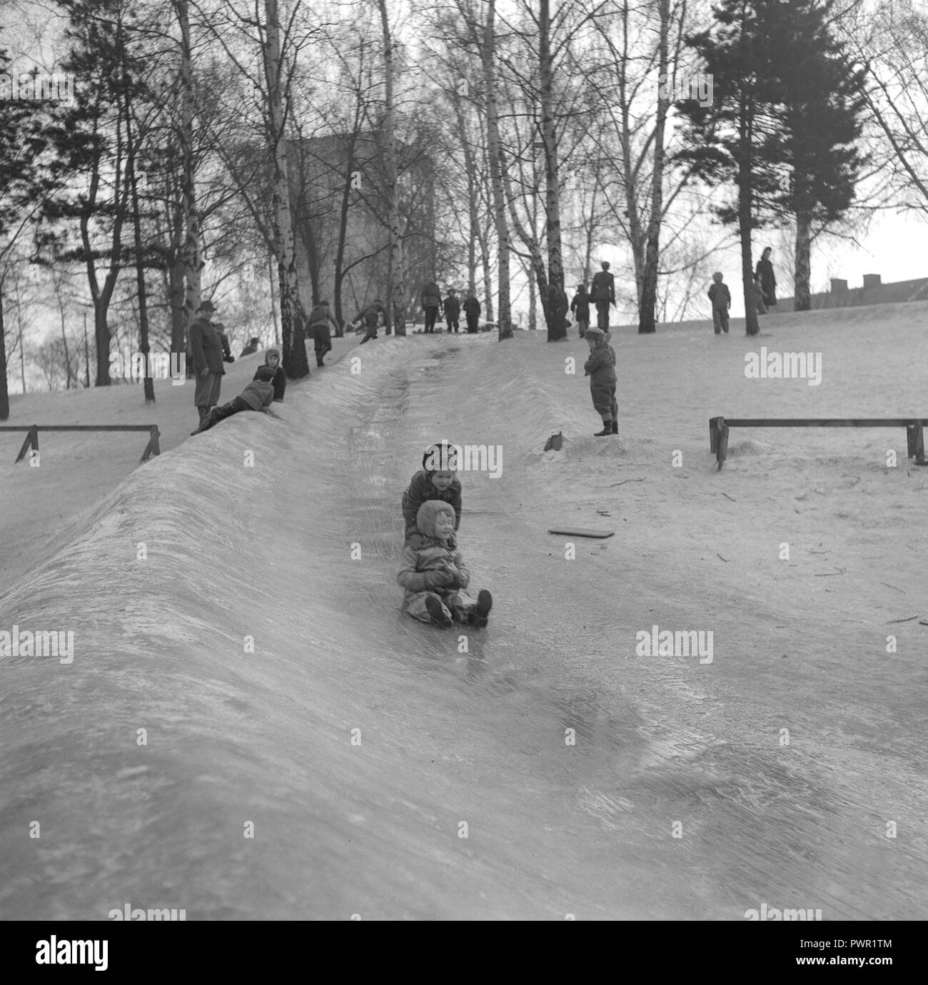 L'hiver dans les années 1950. Des enfants jouent dans un parc à Stockholm. Le glisser sur la colline glacée ensemble et avoir du plaisir. Suède 1951. Ref 1609 Banque D'Images