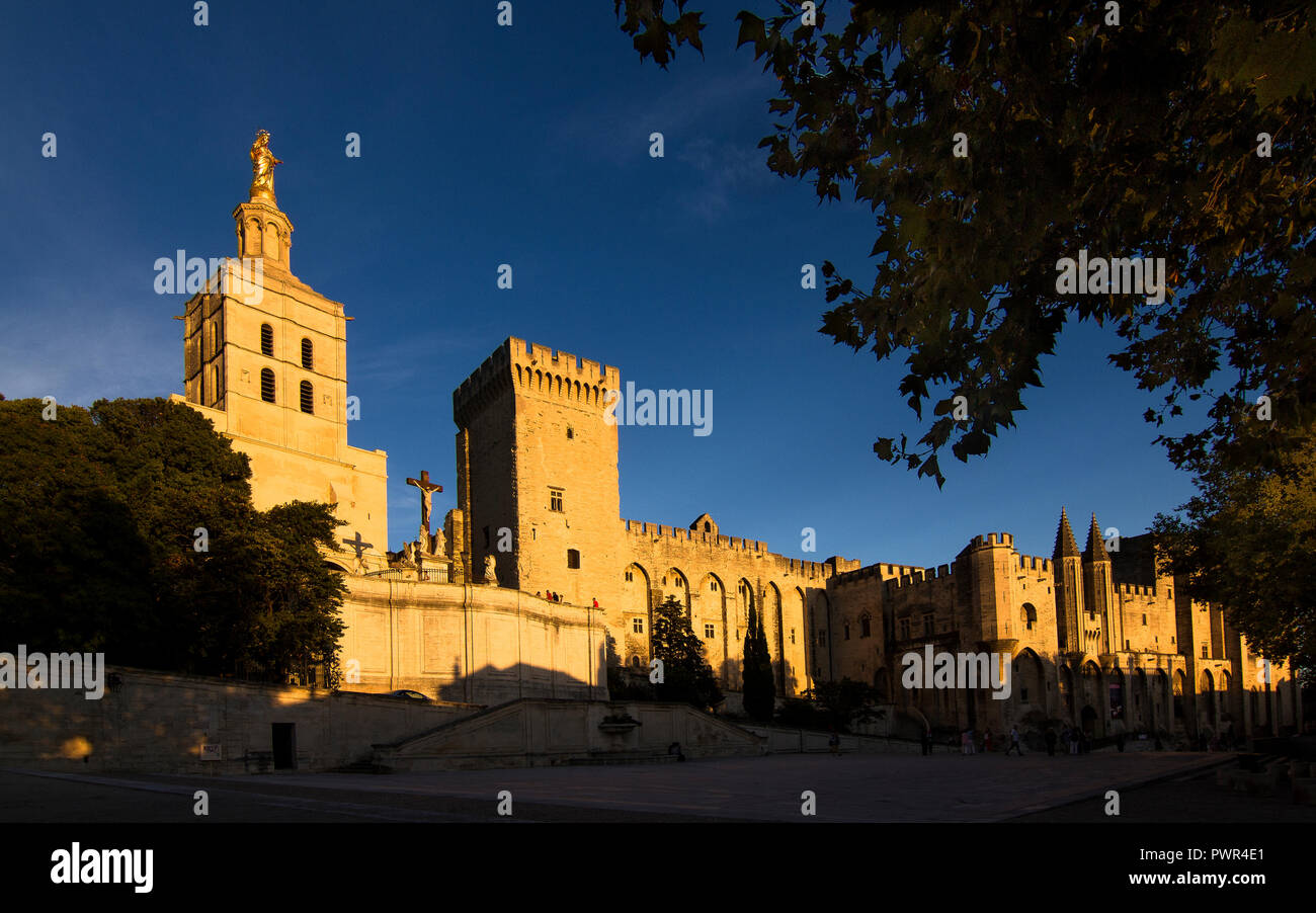 Le Palais des Papes à Avignon, ici vu au coucher du soleil, est l'un des plus grands édifices gothiques en Europe Banque D'Images