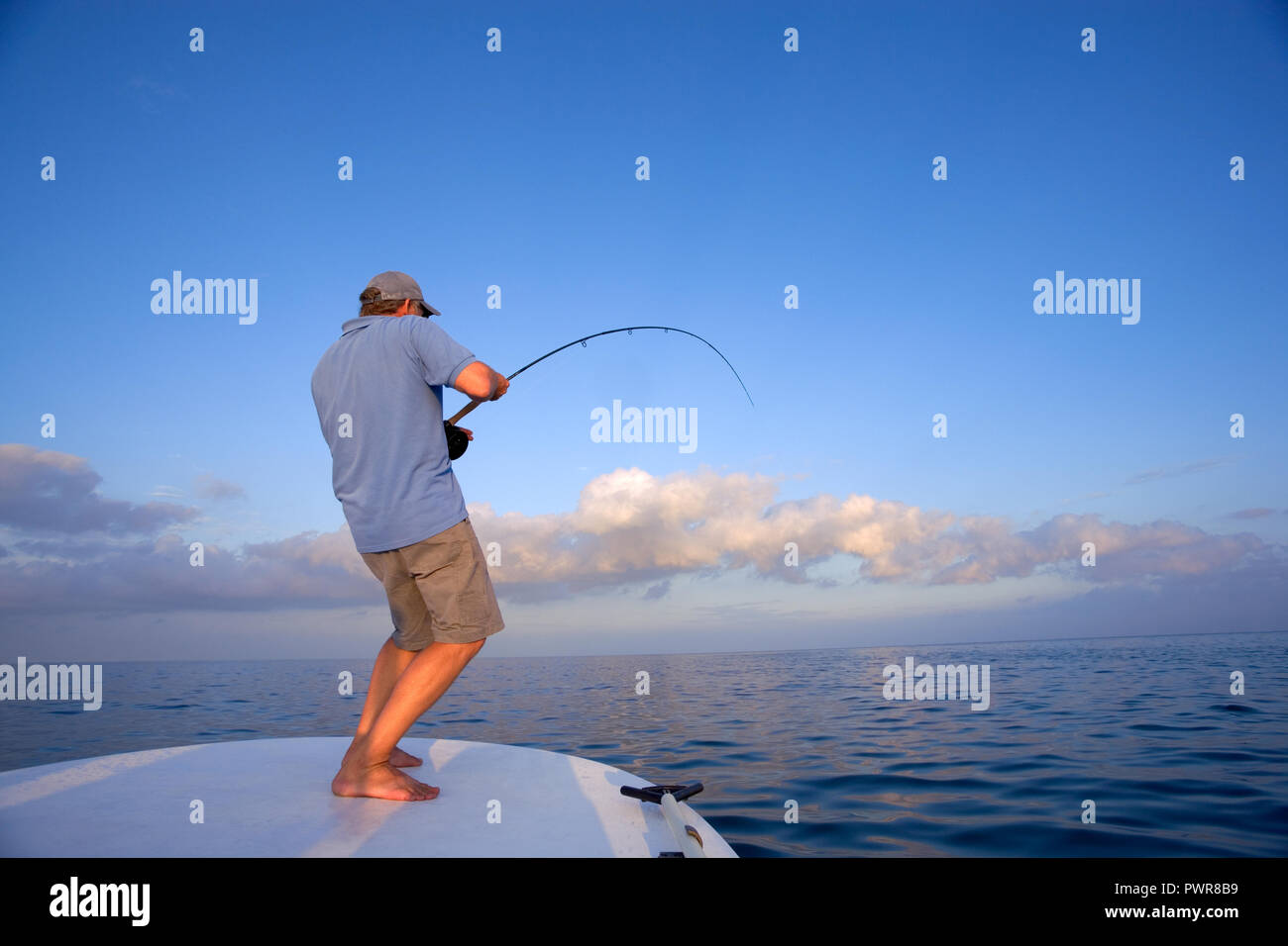 La pêche sportive en eau salée en Floride, USA Banque D'Images