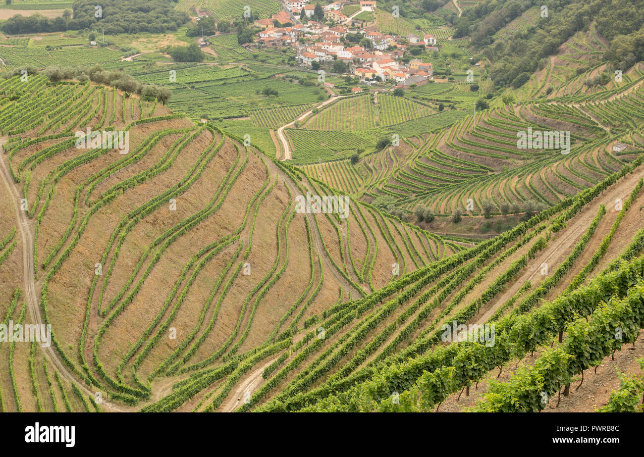 Les modèles de vignes en vignes dans l'Alto Douro La région de Porto du Portugal en été à la recherche vers le village de Veiga Banque D'Images