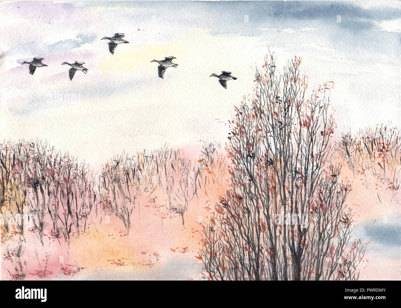 Autumn Landscape Painted By Watercolor Sky Photos Autumn