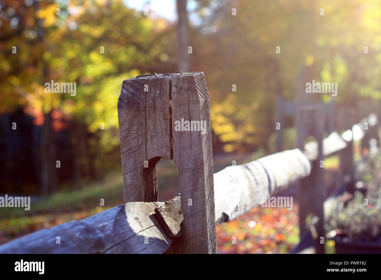 Clôture en bois au soleil d'Automne dans le Nord du Vermont Banque D'Images