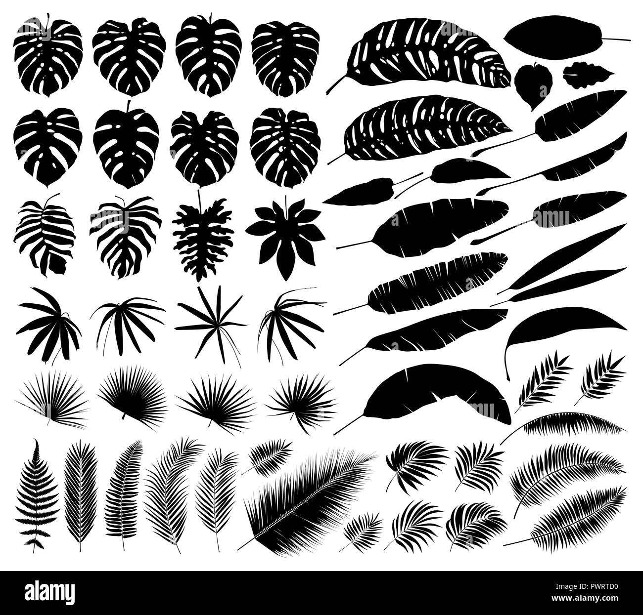 Vector set de silhouettes de feuilles tropicales, de botanique éléments isolés modèle pour votre conception Illustration de Vecteur