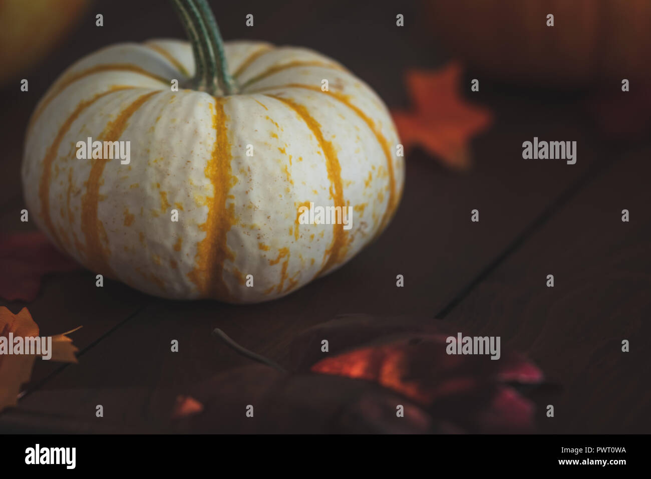 Belle grande citrouille pour Halloween Thanksgiving ou la messagerie instantanée. Banque D'Images