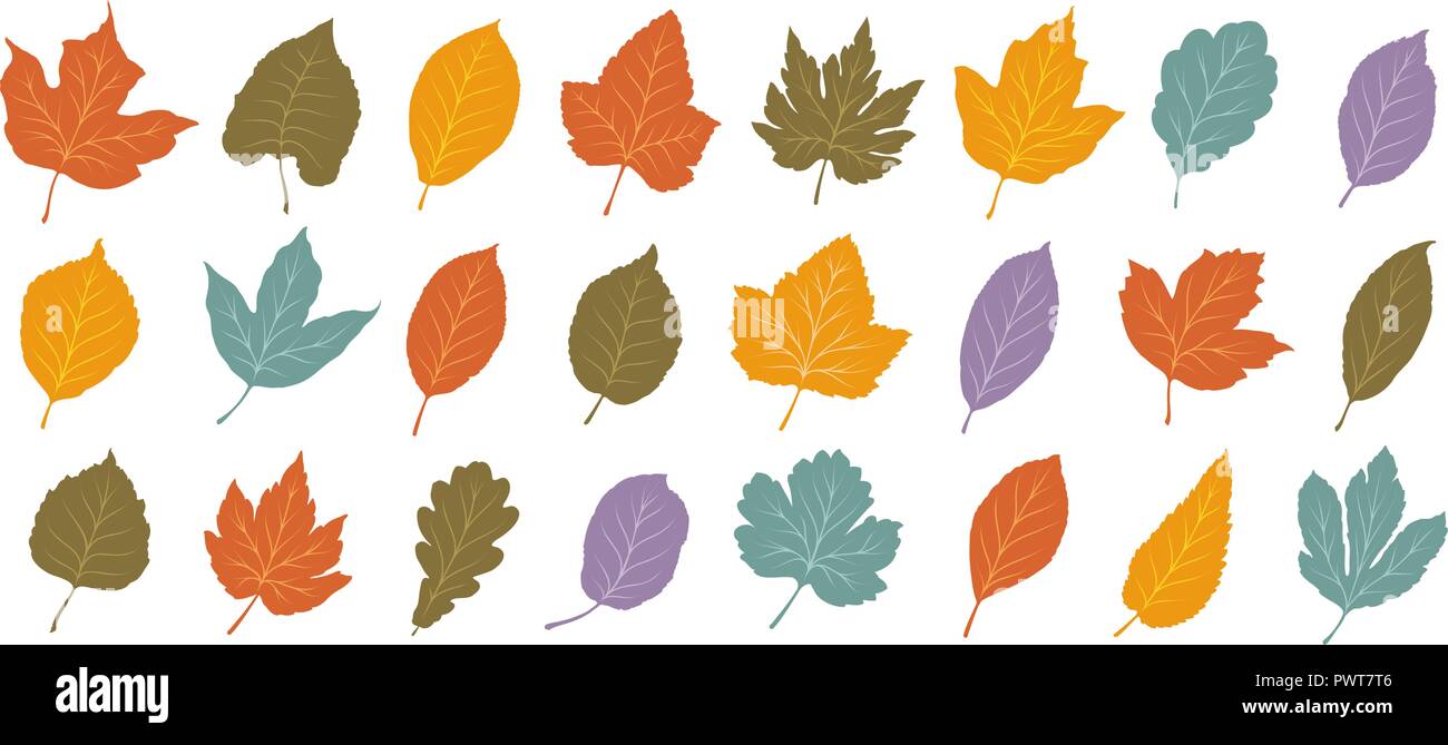 Feuilles décoratives, ensemble. L'automne, la chute des feuilles concept. Cartoon vector illustration Illustration de Vecteur