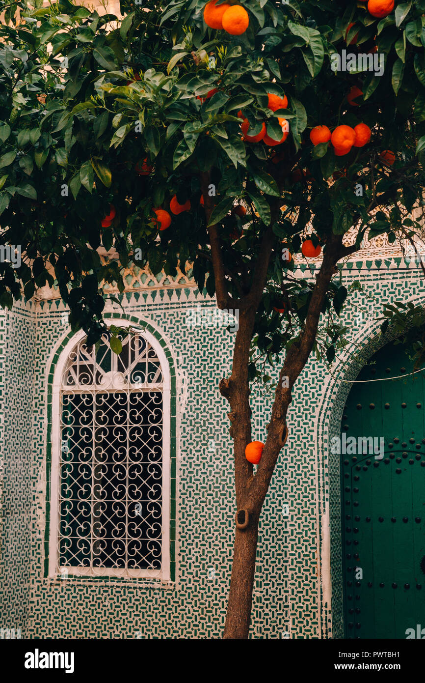 Chaouen, Chefchaouen, Royaume du Maroc, 2018 Banque D'Images